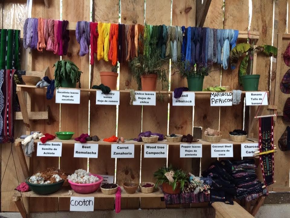 Dyed fabrics and plants used in the process