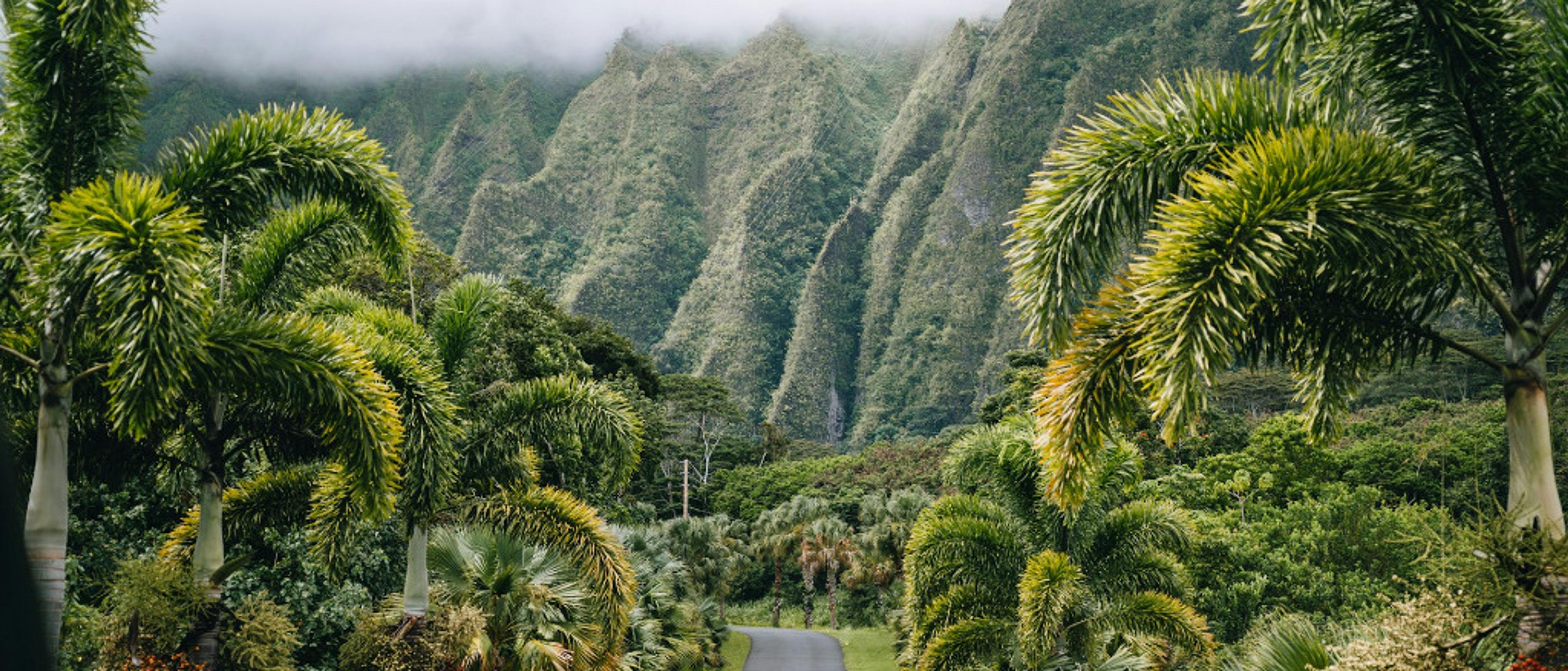 Hawaii 🏄 in $230s-$450s RT