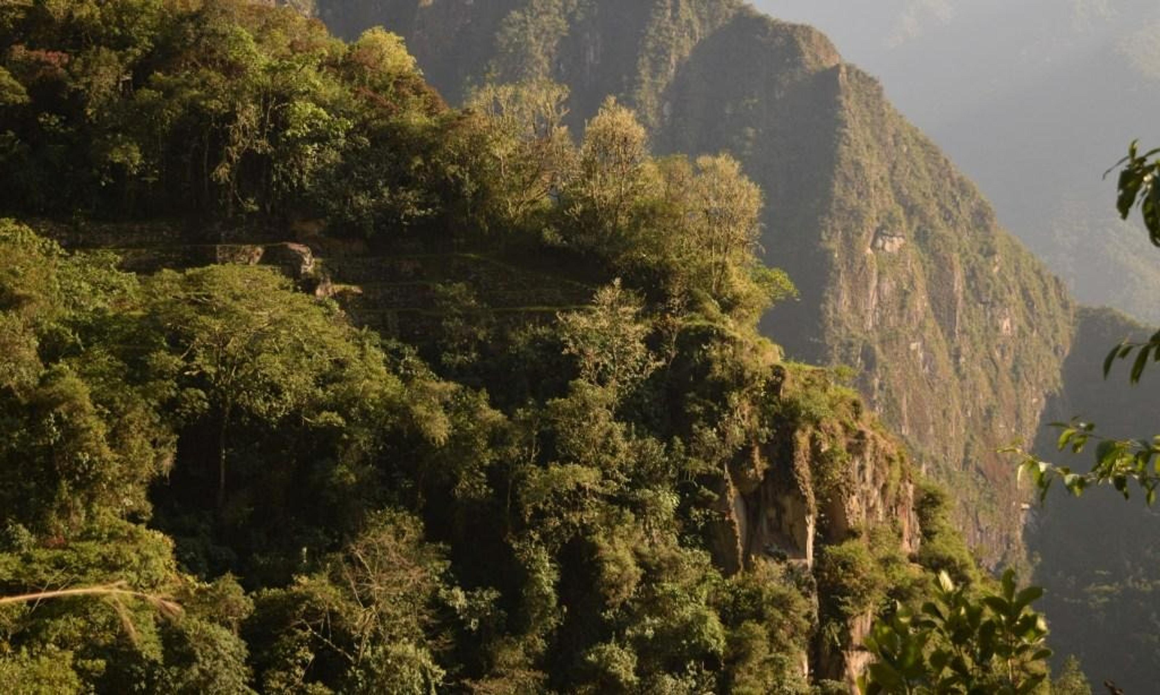 Lush green terraces and cliffs of Machu Picchu in Peru create a dramatic landscape.