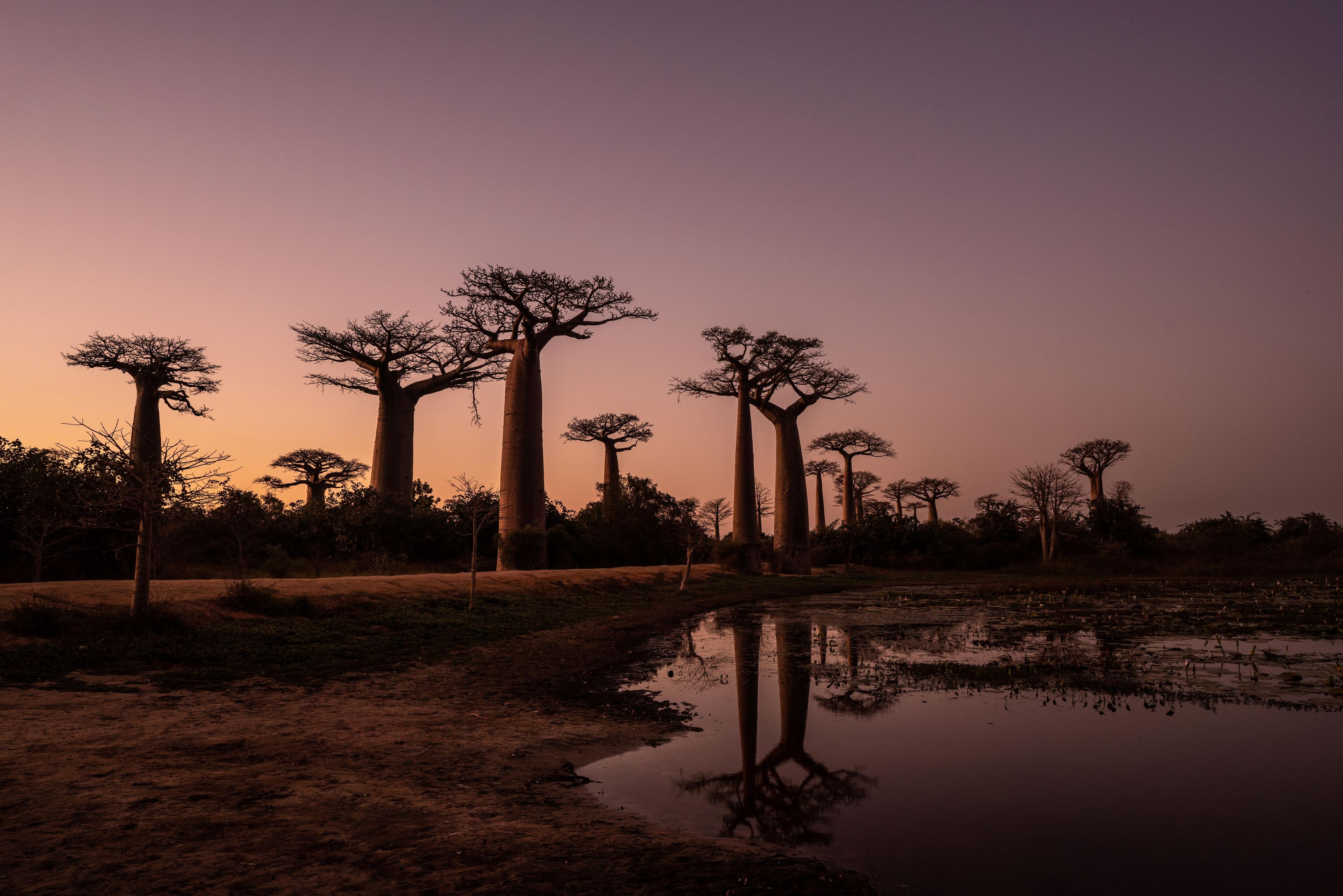 Otherworldly nature that draws me to the most remote corners of the globe