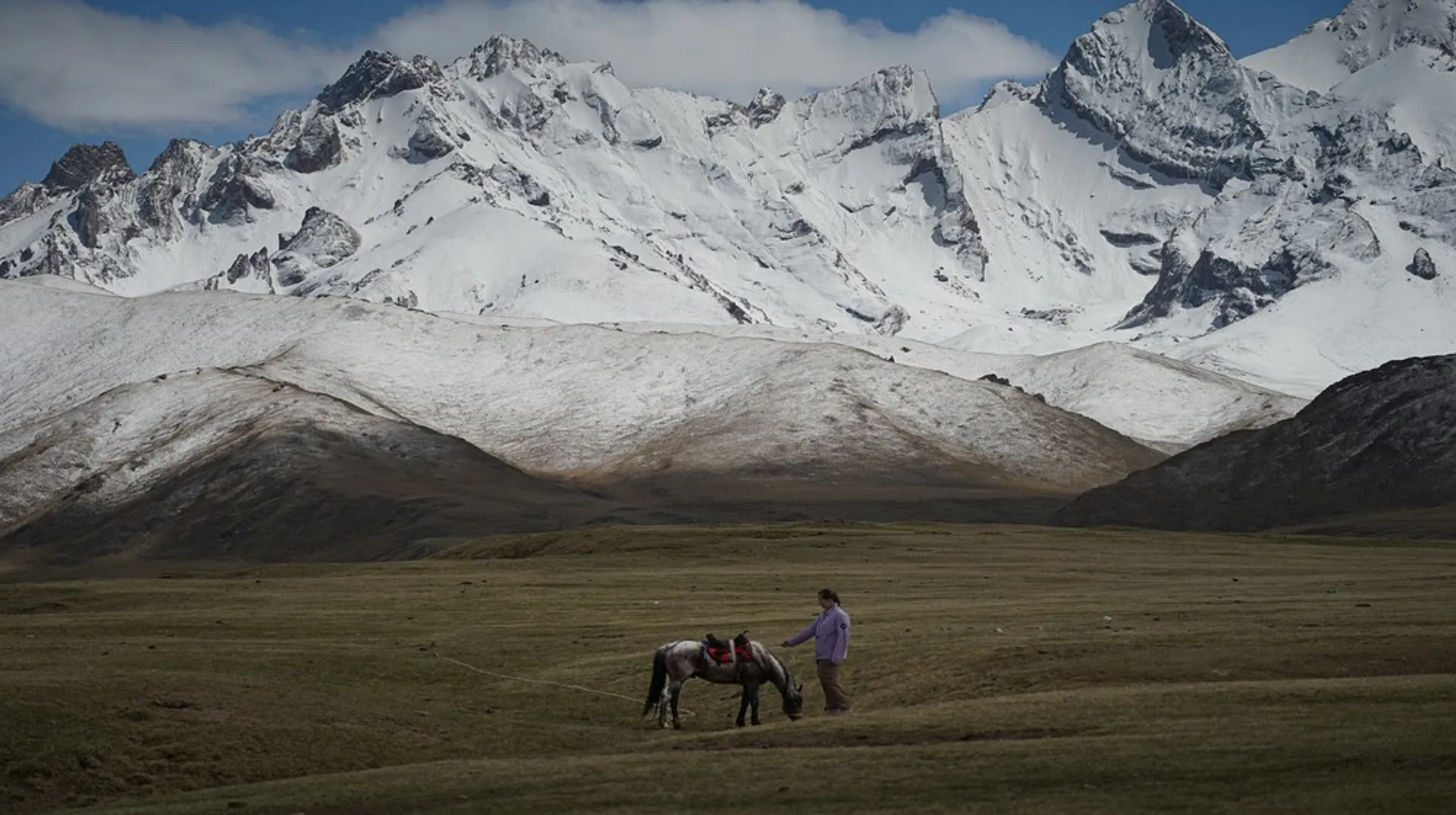 A person walks a horse across the vast grasslands against the stunning backdrop of Kyrgyzstan's snow-capped Tien Shan mountains.
