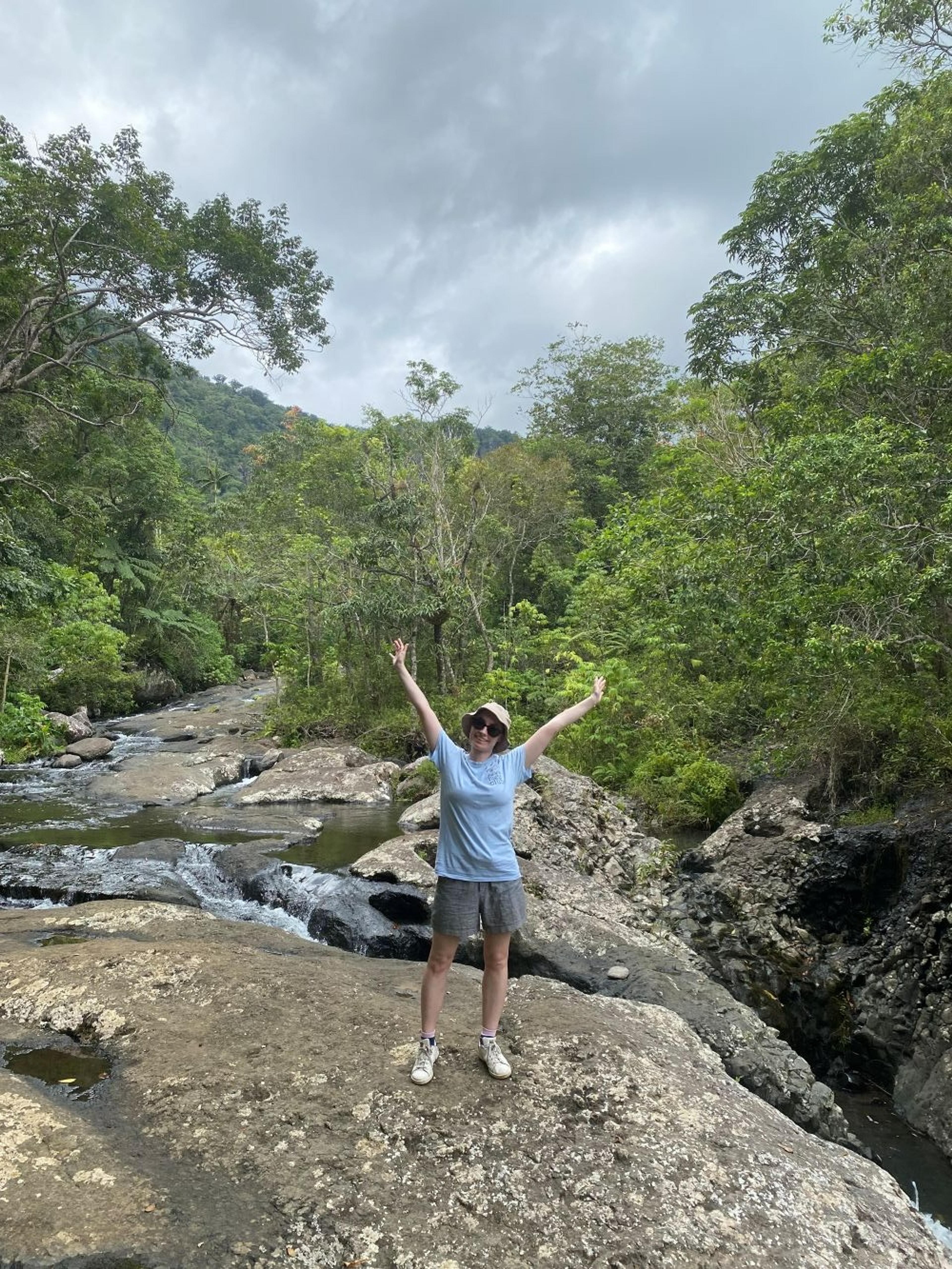 A person joyfully stands on a rocky surface by a flowing stream in the lush rainforest