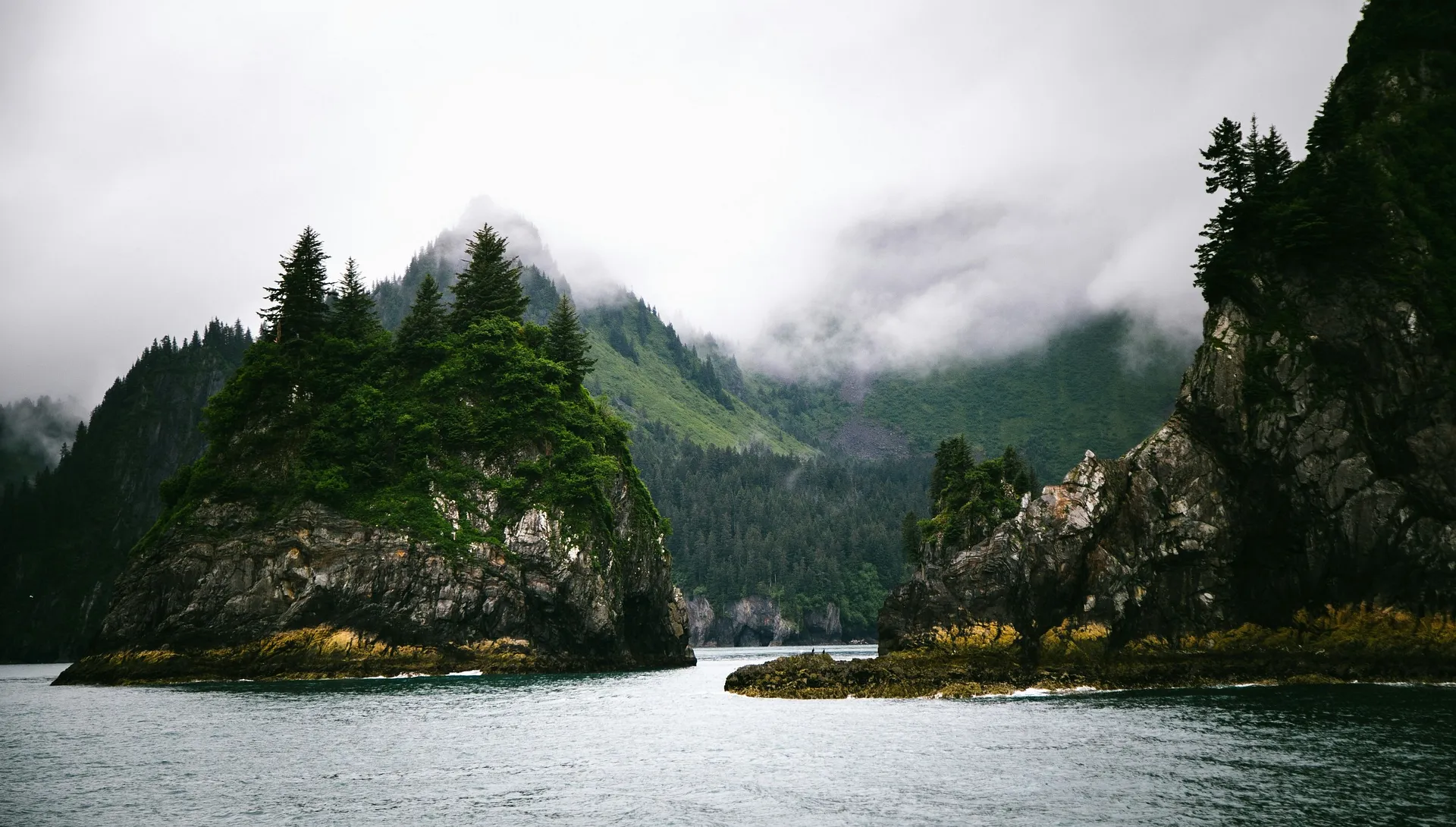 Misty, forested cliffs rise dramatically in Kenai Fjords National Park, Alaska, shrouded by low-hanging clouds.