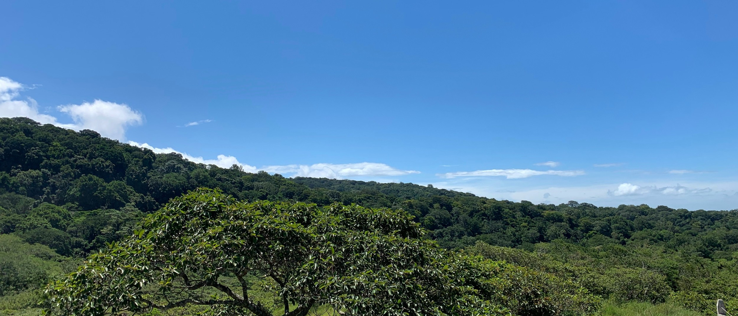 Costa Rica  in $310s-$330s RT  