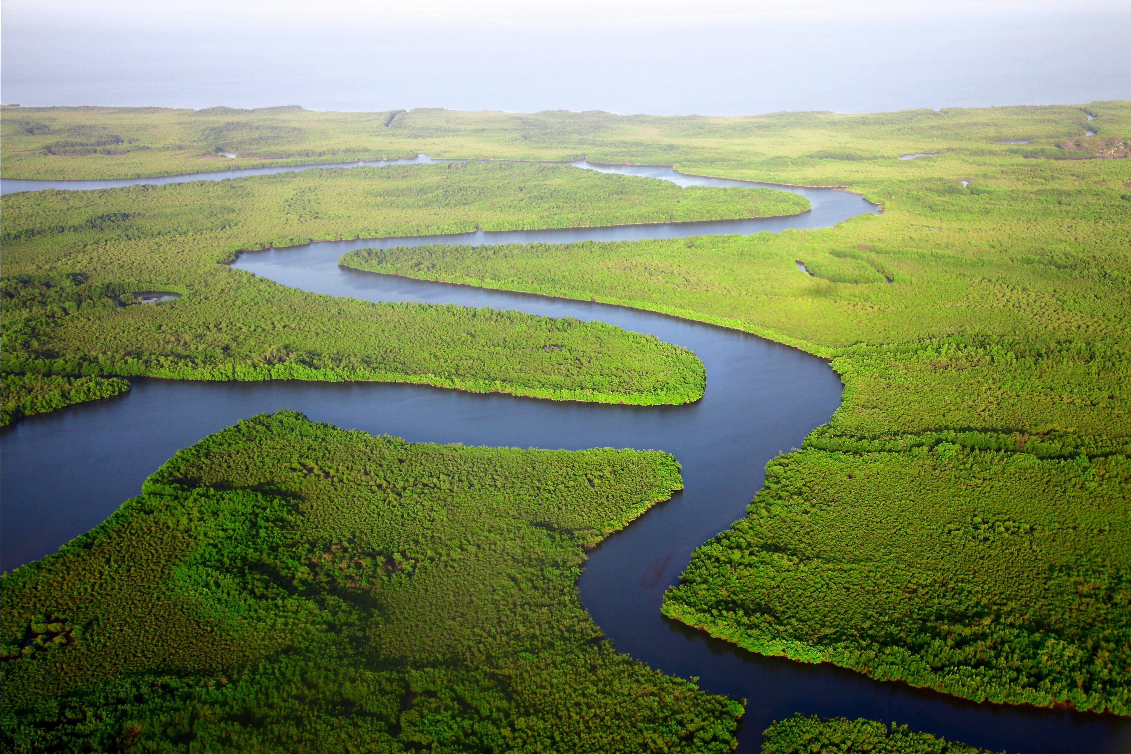 Aerial view of the meandering Gambia River flowing through lush green mangroves in Banjul, Gambia.
