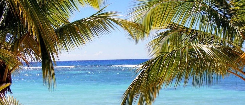 Los Angeles to Dominica  at $360 RT 