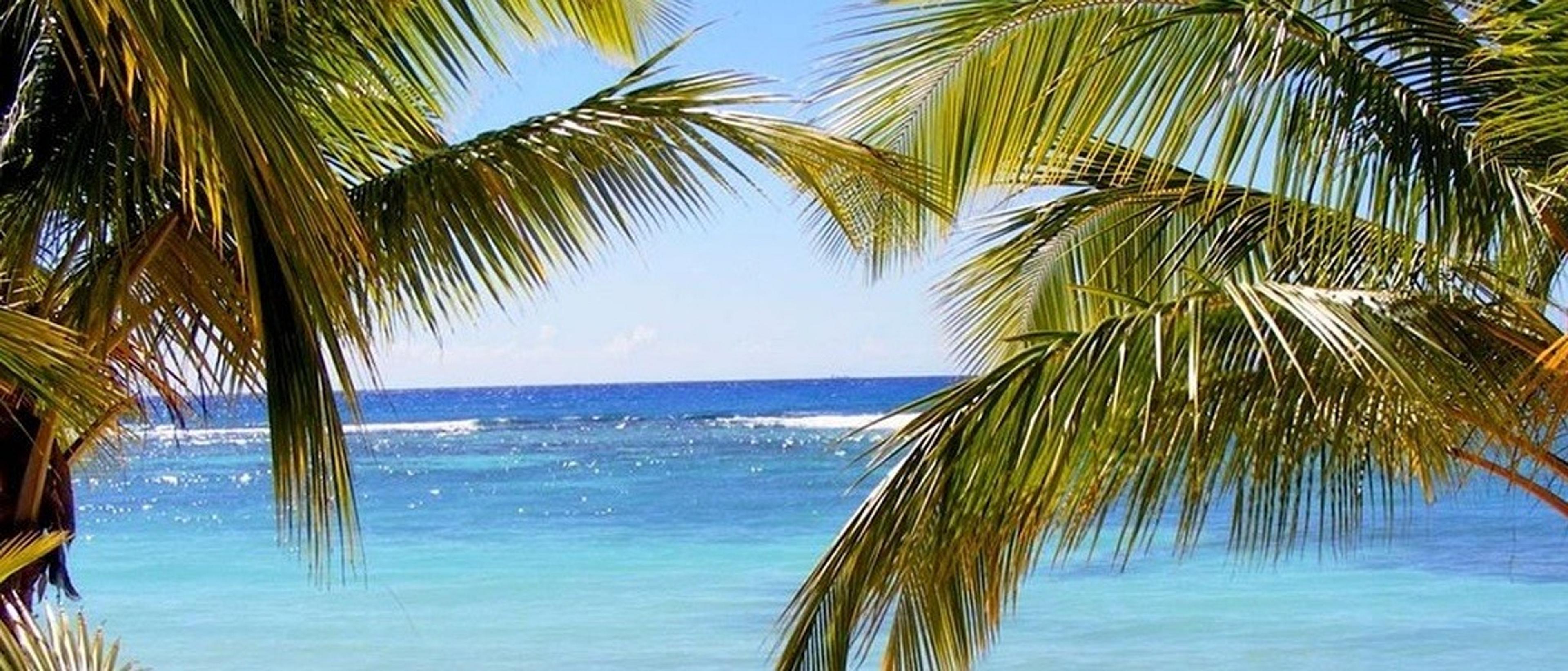 Los Angeles to Dominica  at $360 RT 