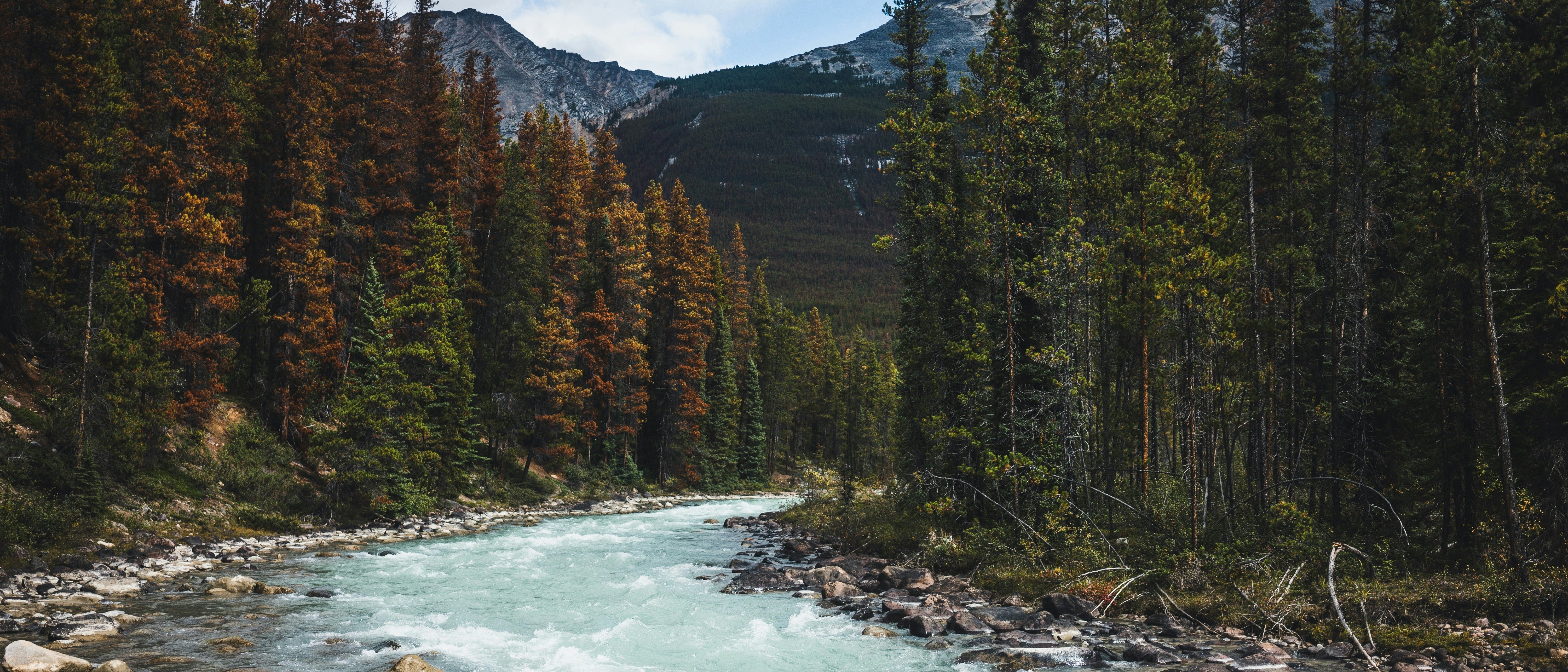Jasper National Park  in $150s-$270s RT