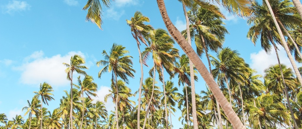 Recife, Brazil  in $590s-$610s RT 