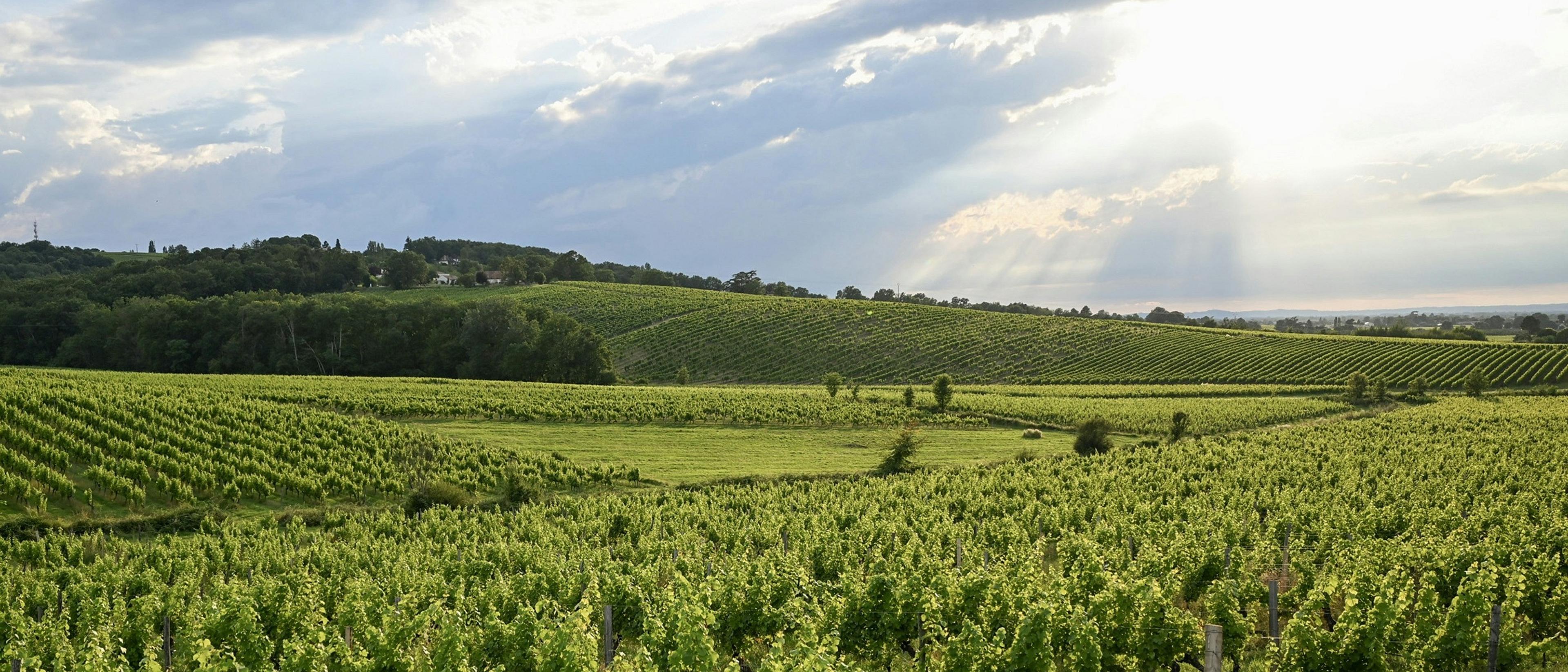 Bergerac 🍇 at £60 rtn from Bristol