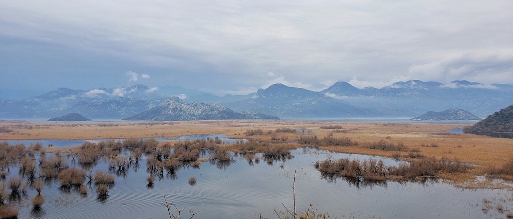 Podgorica, Montenegro  in €40s-€60s rtn 