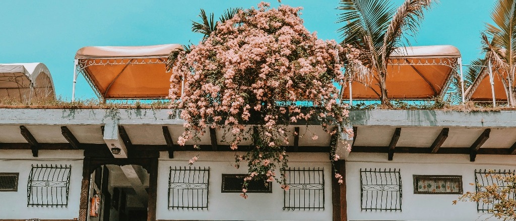 The Philippines 🌴 in $710s-$880s RT