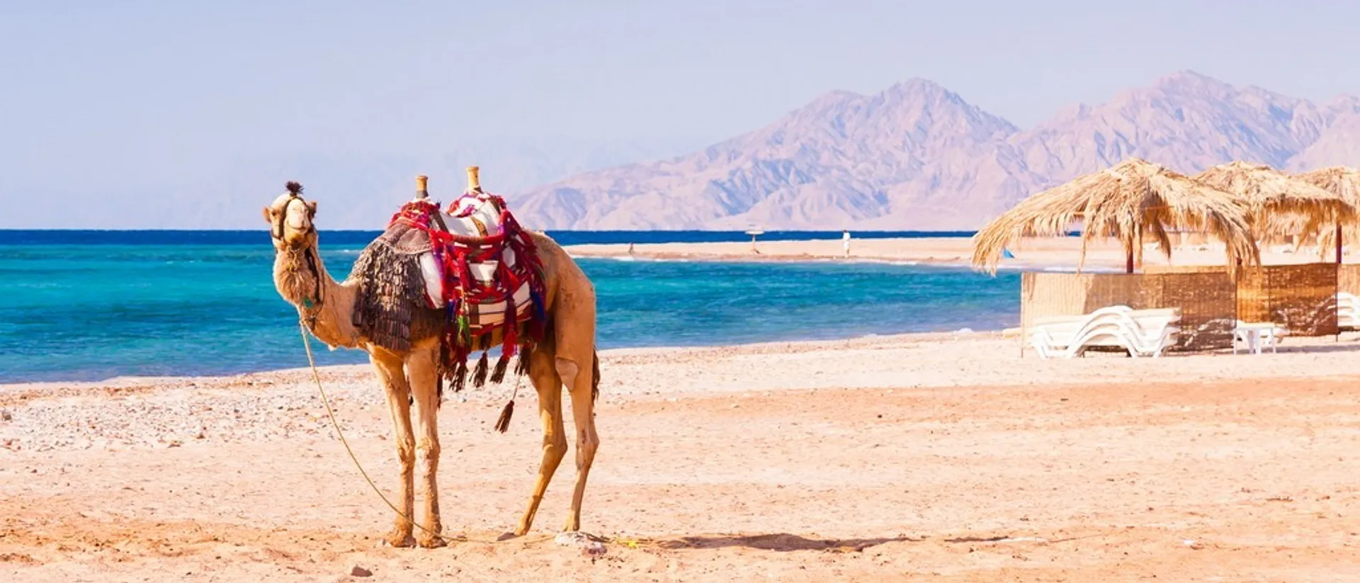 The Red Sea  in €100s-€190s rtn