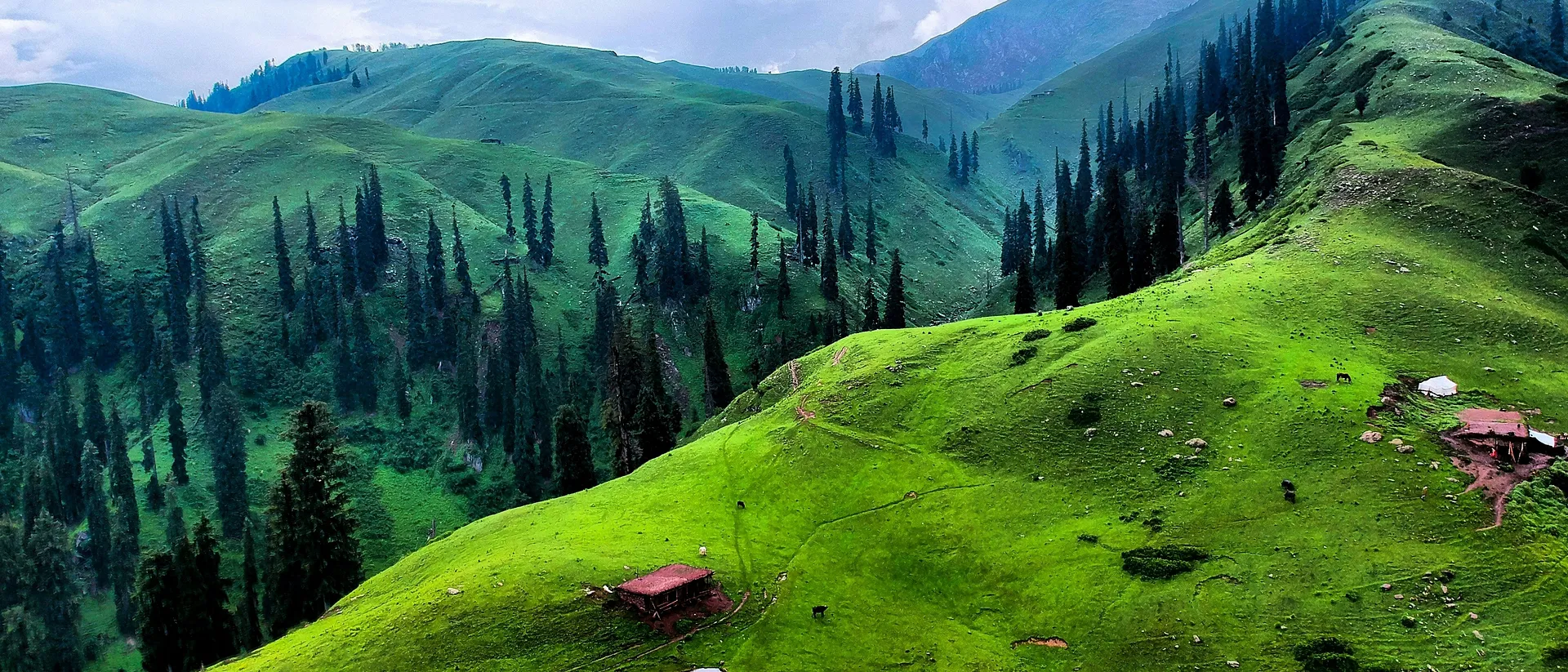Pakistan