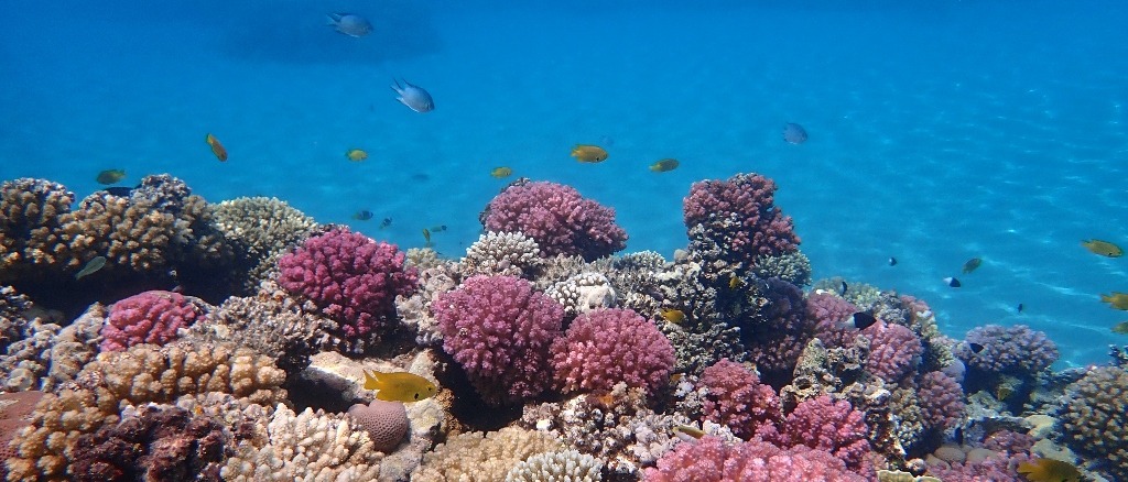 Cape Verde, Egypt, Mexico and more 🌴 in £70s-£460s rtn