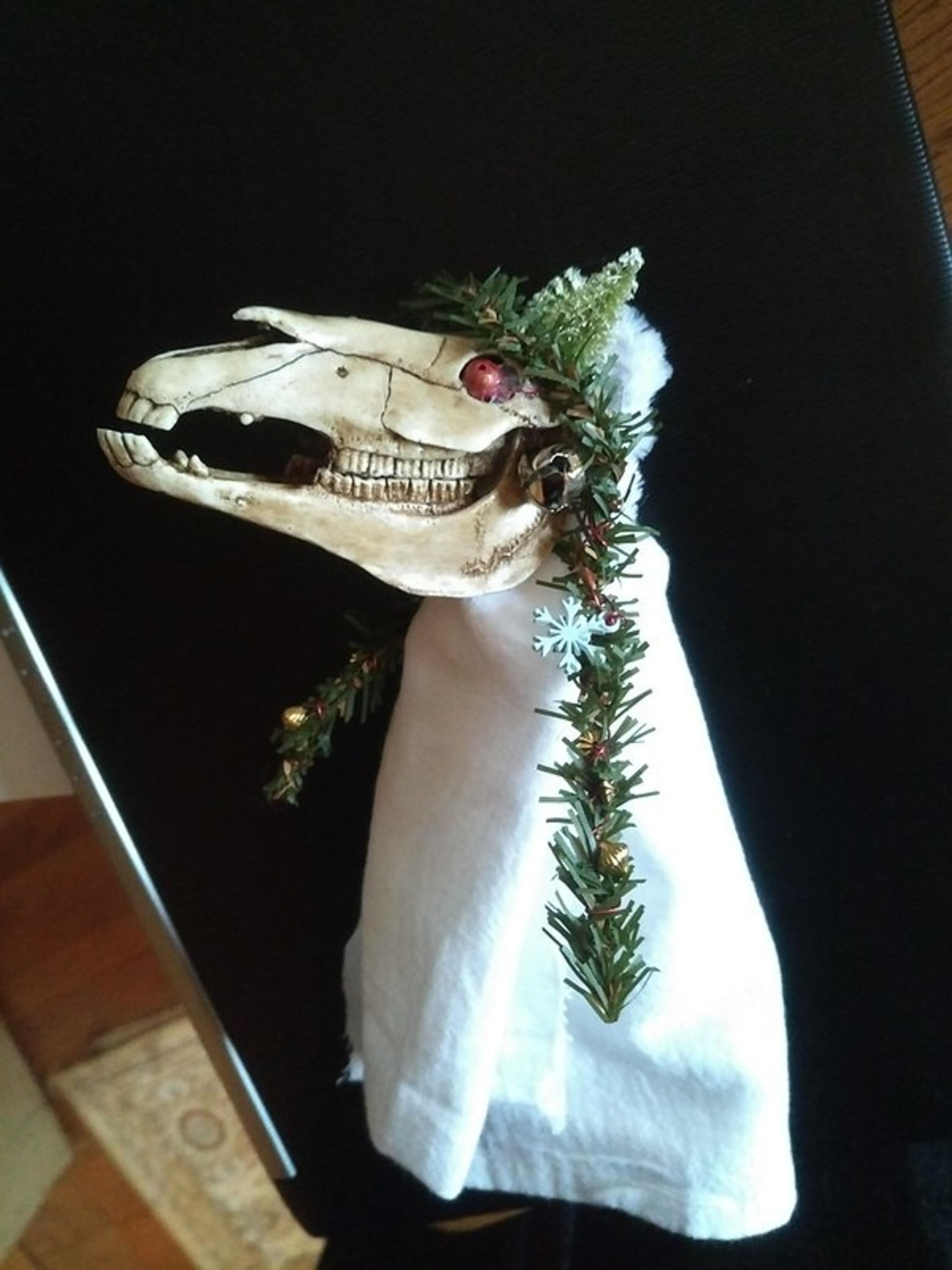 A horse skull decorated with greenery and festive ornaments evokes the traditional Welsh Mari Lwyd custom.