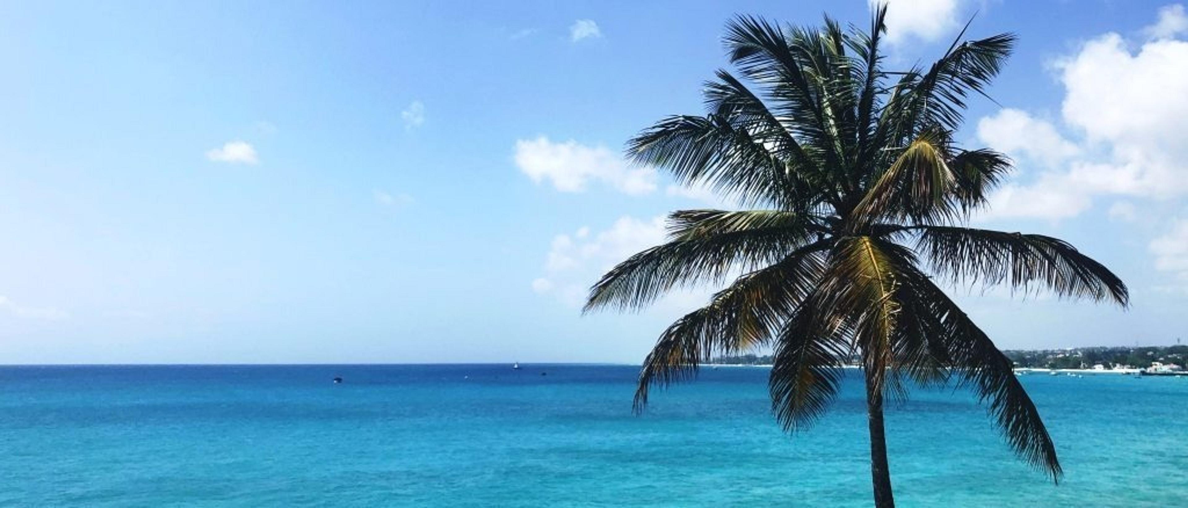 Barbados  in $390s-$470s RT 