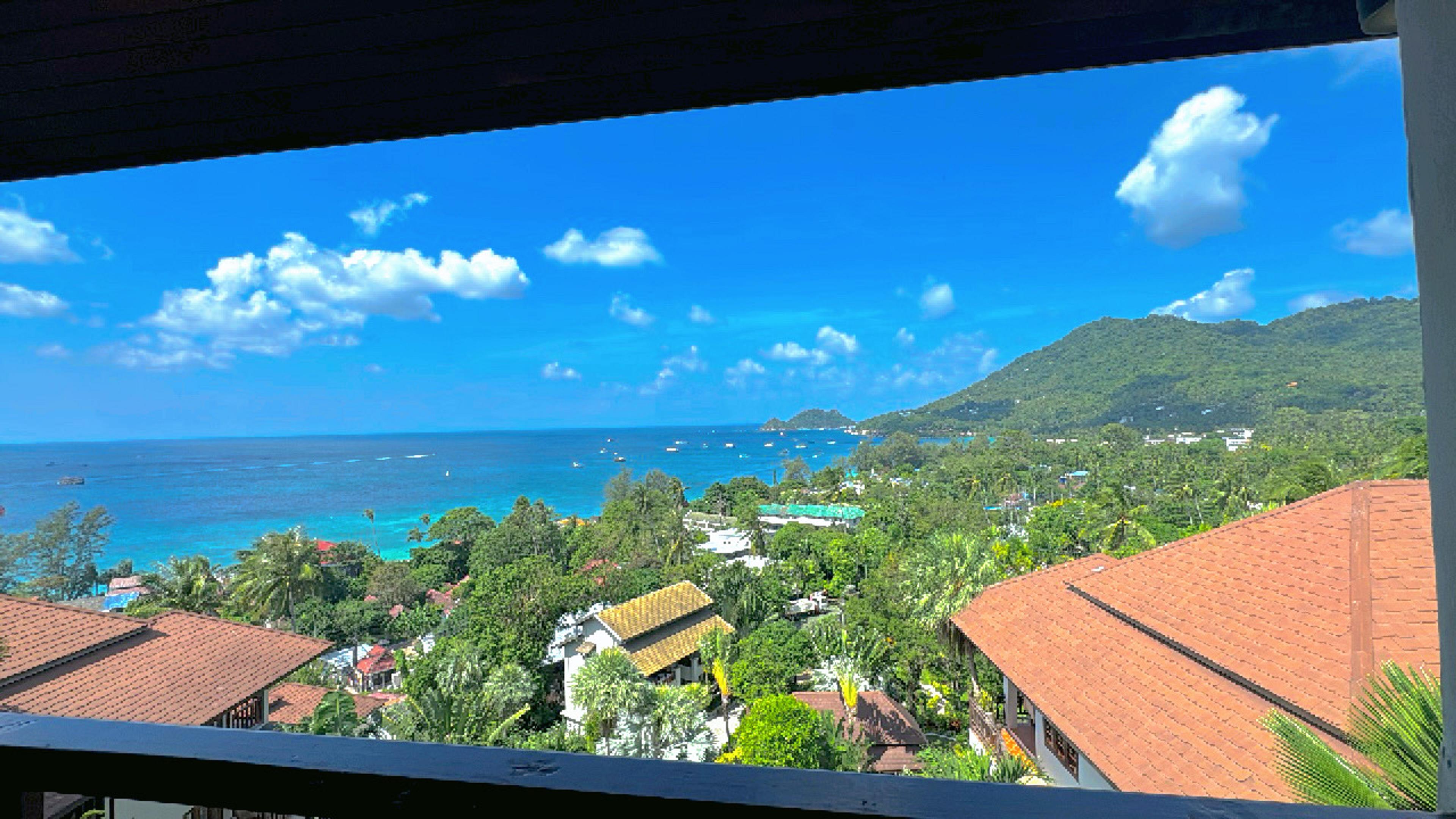 Postcard from VigorousExpeditionist26157