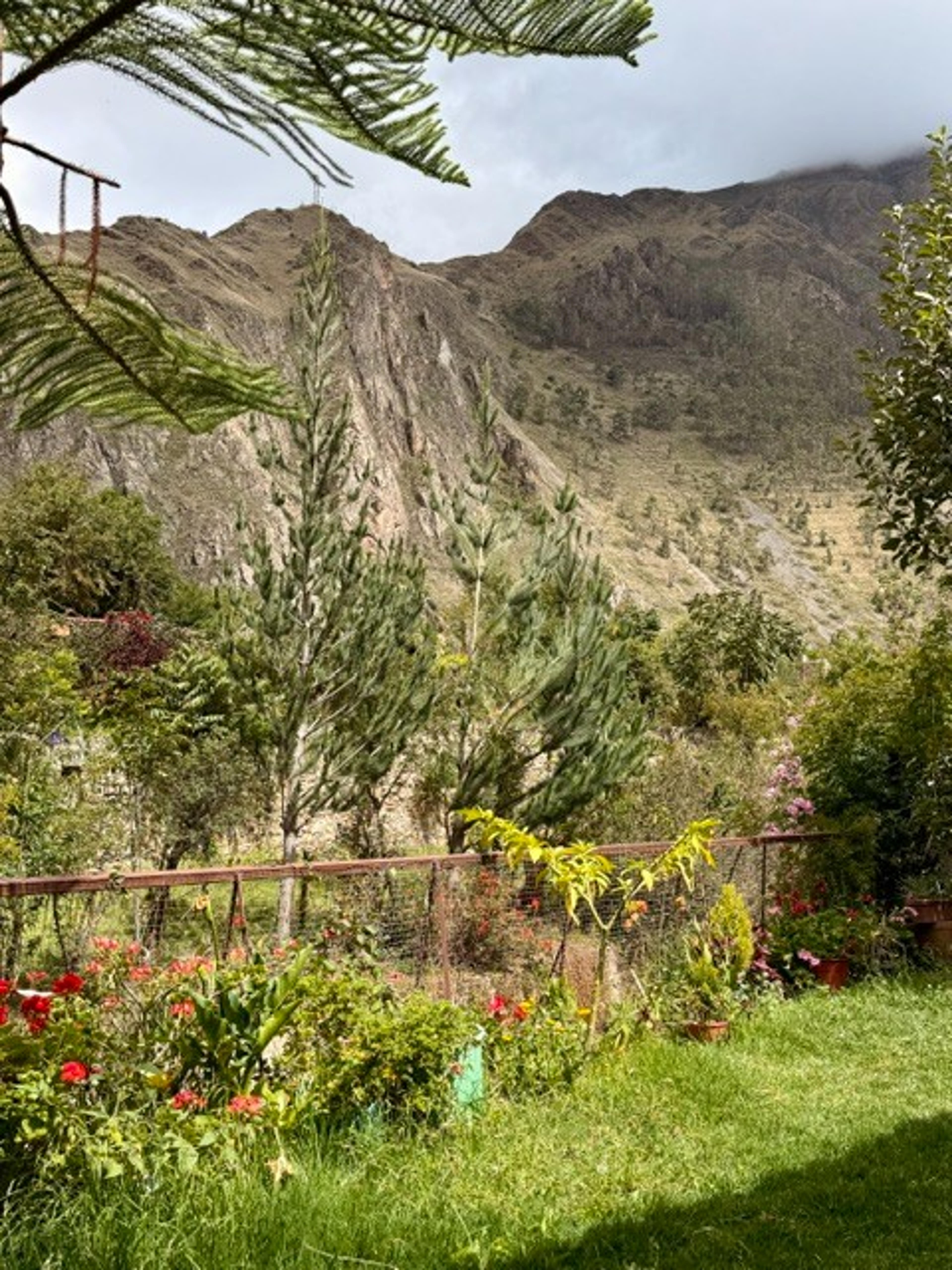 A lush garden with colorful flowers and tall trees sits in front of a rugged mountain landscape, likely in a mountainous region like the Andes.