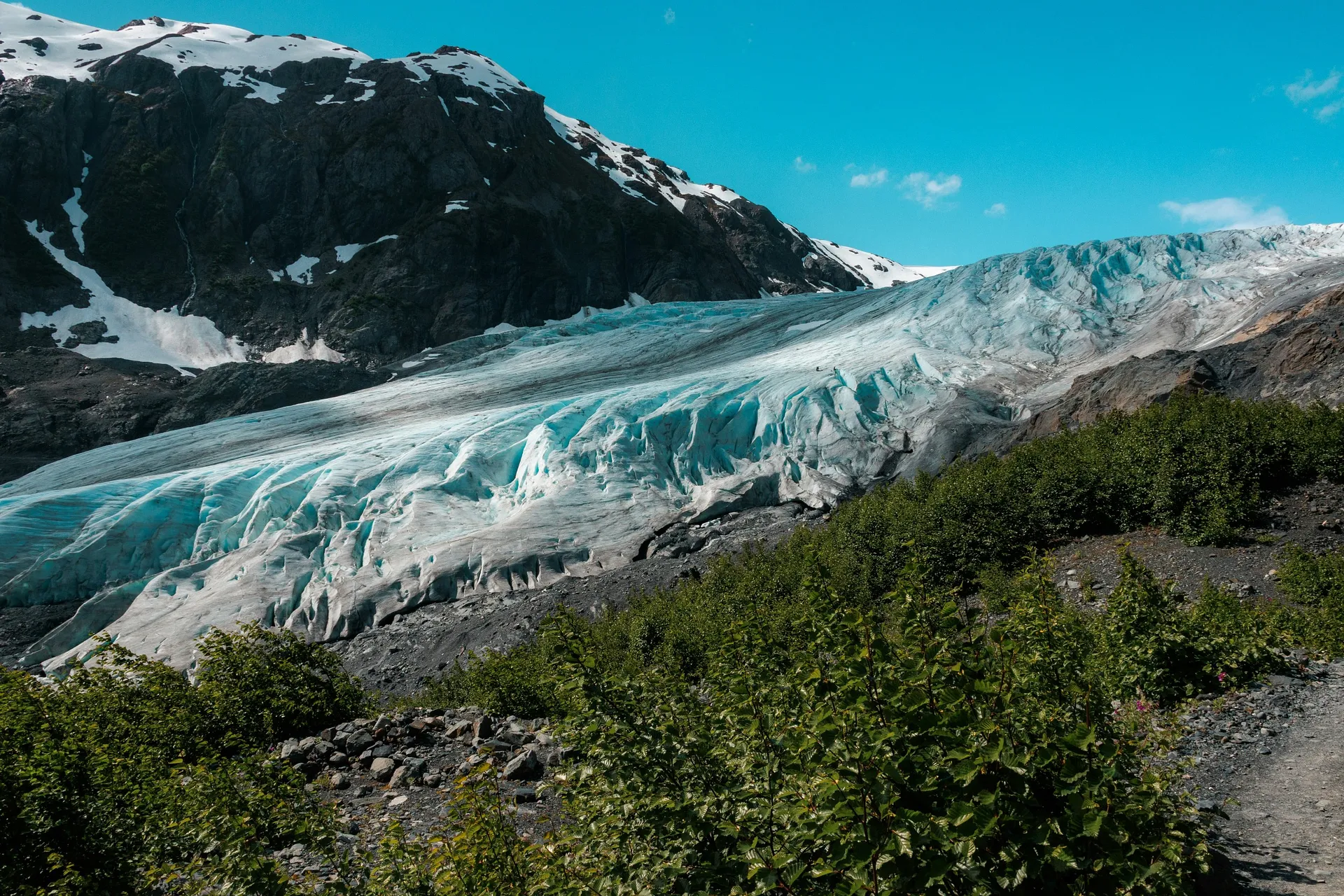 A stunning view of the Harding Icefield in Kenai Fjords National Park, Alaska, with its expansive glacier framed by rugged mountains and greenery.