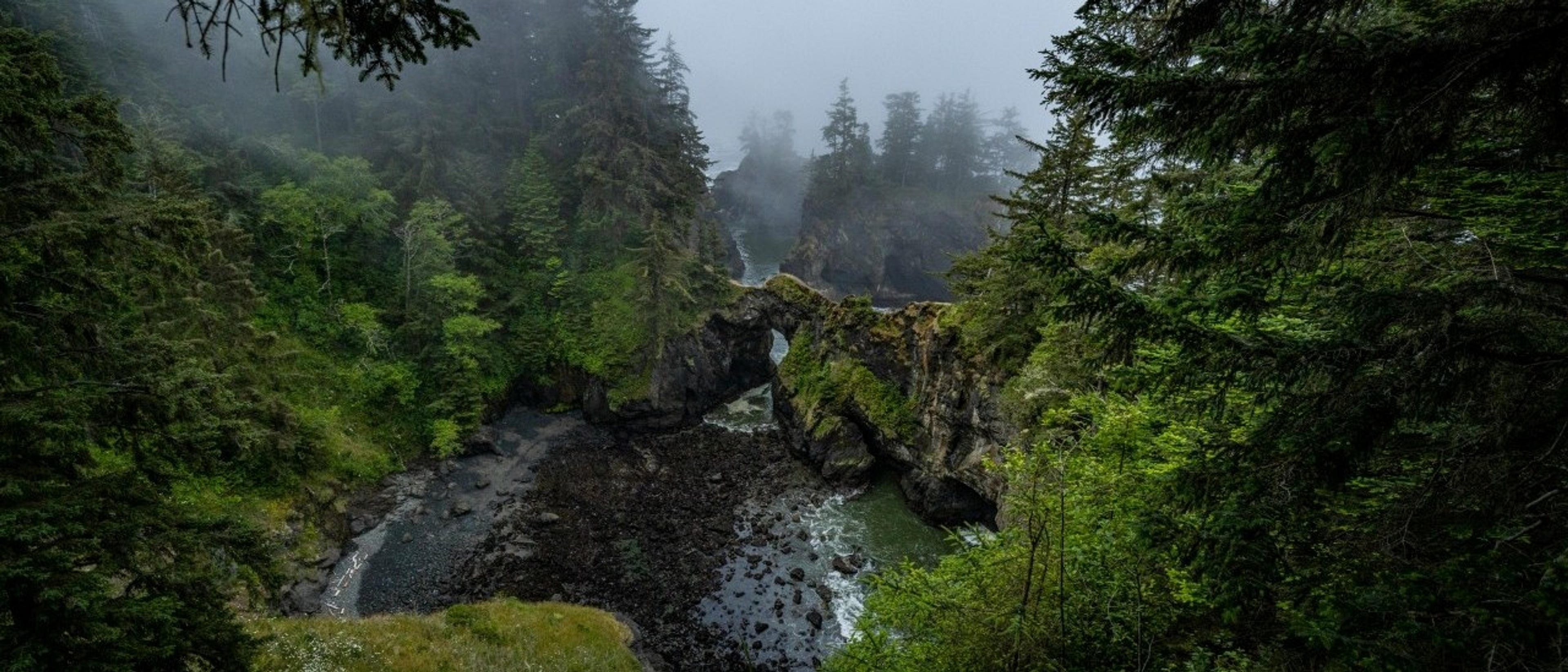 A misty scene unfolds at Natural Bridges in the Samuel H. Boardman State Scenic Corridor, Oregon, featuring lush greenery and rocky formations.