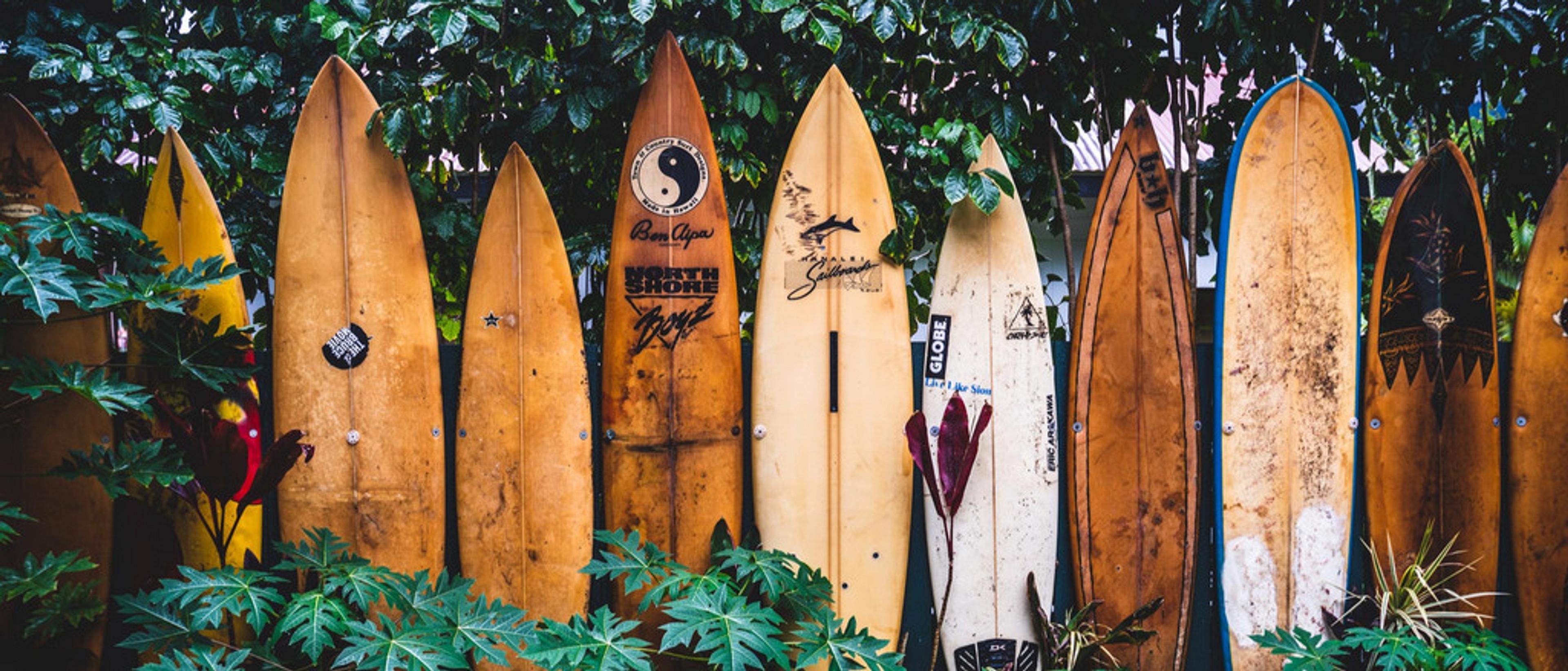 Maui & Kauai 🌺 in $230s-$390s RT