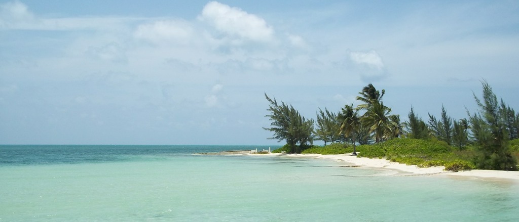 Grand Cayman 🏝️ in $310s-$390s RT