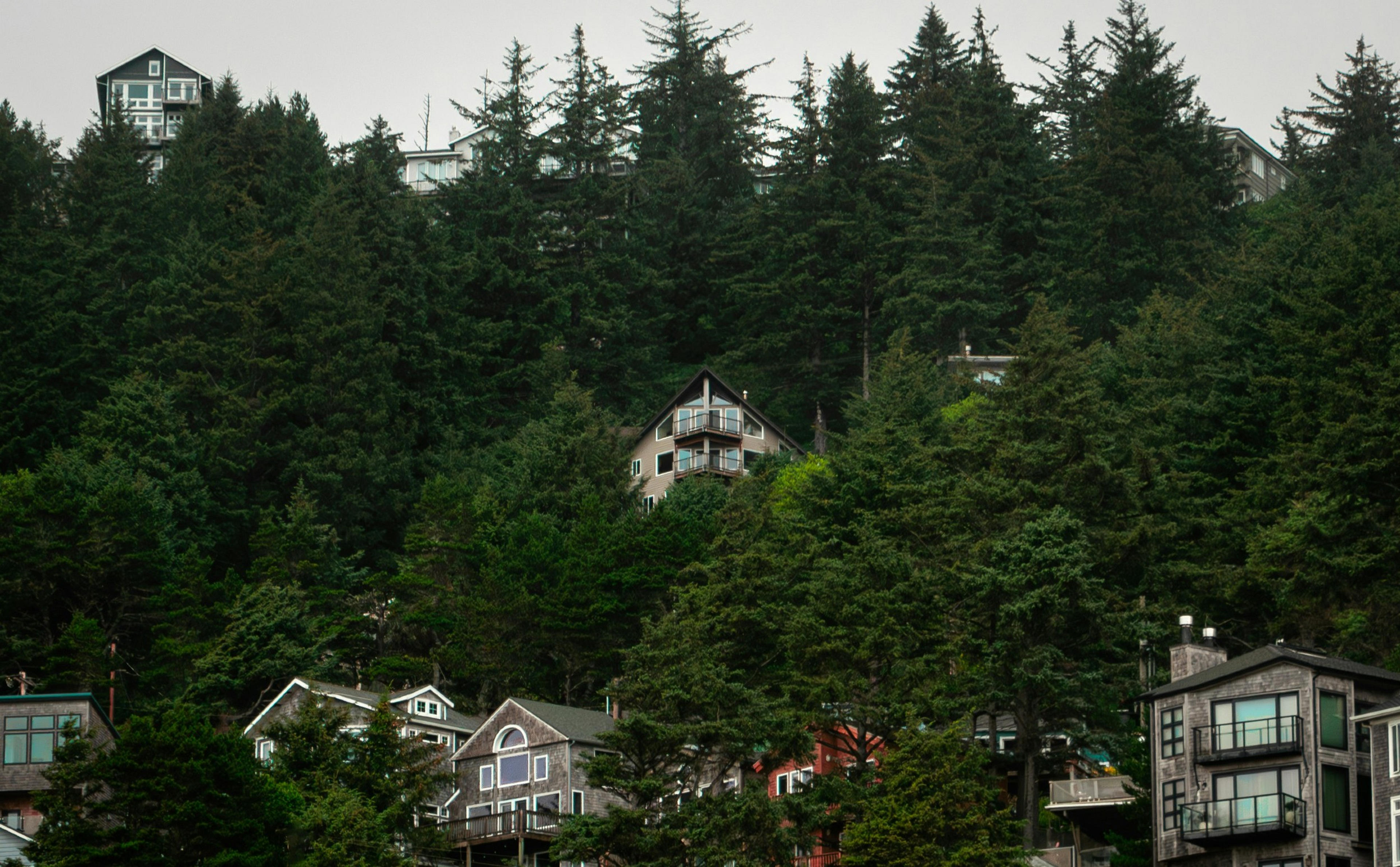 Houses nestled among dense evergreen trees cling to the hillside