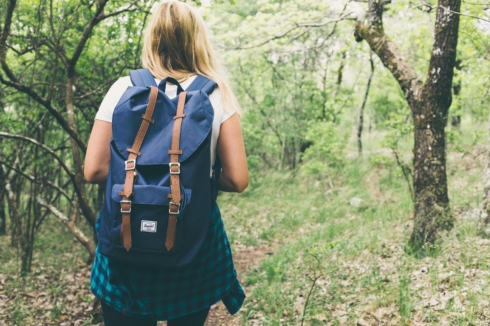 A person with a backpack walks through a lush, green forest.