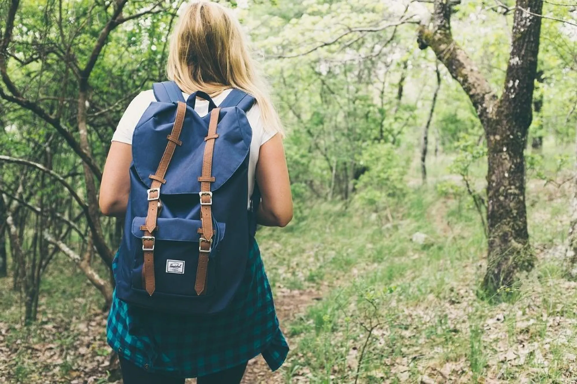 A person with a backpack walks through a lush, green forest.