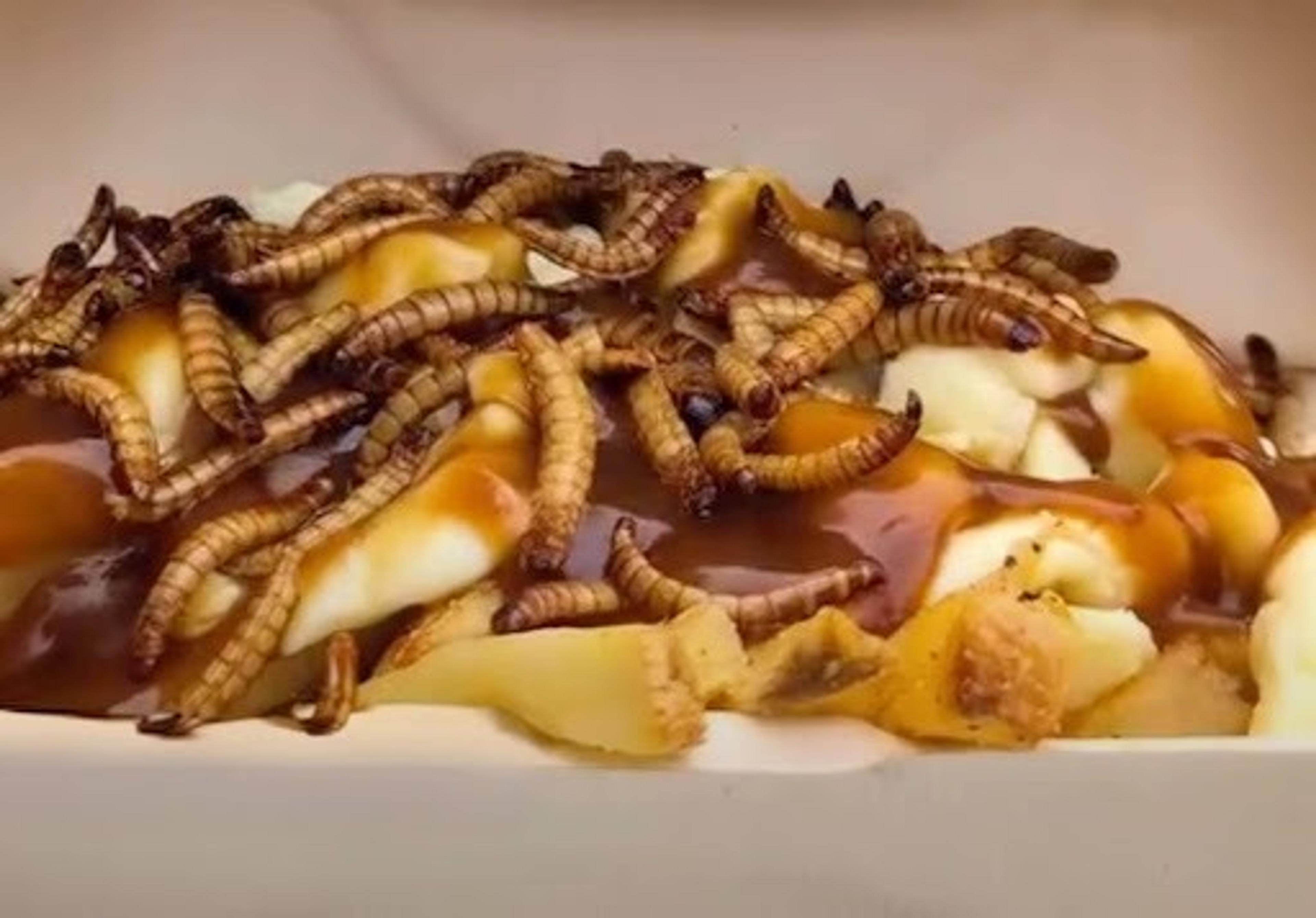 A big giant helping of poutine with worms. 