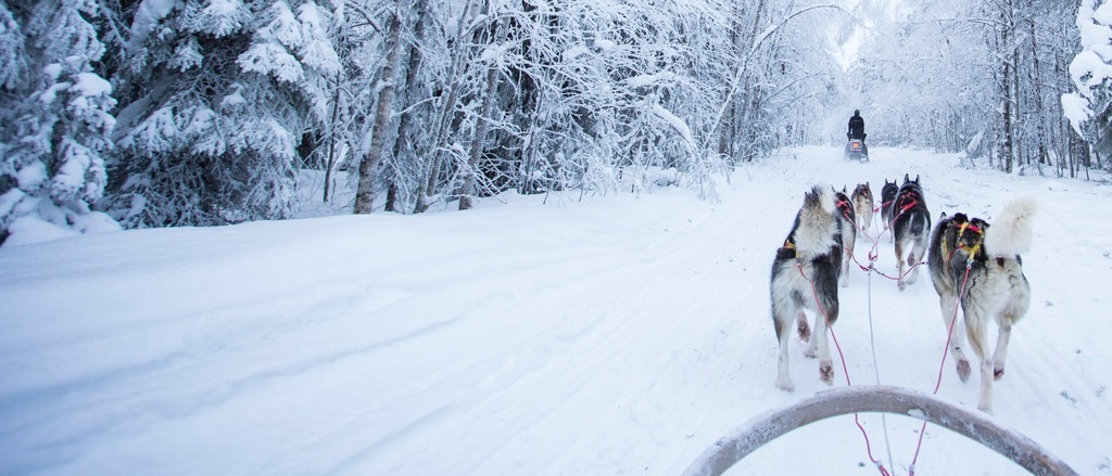 Rovaniemi, Lapland ❄️ in £50s-£80s rtn