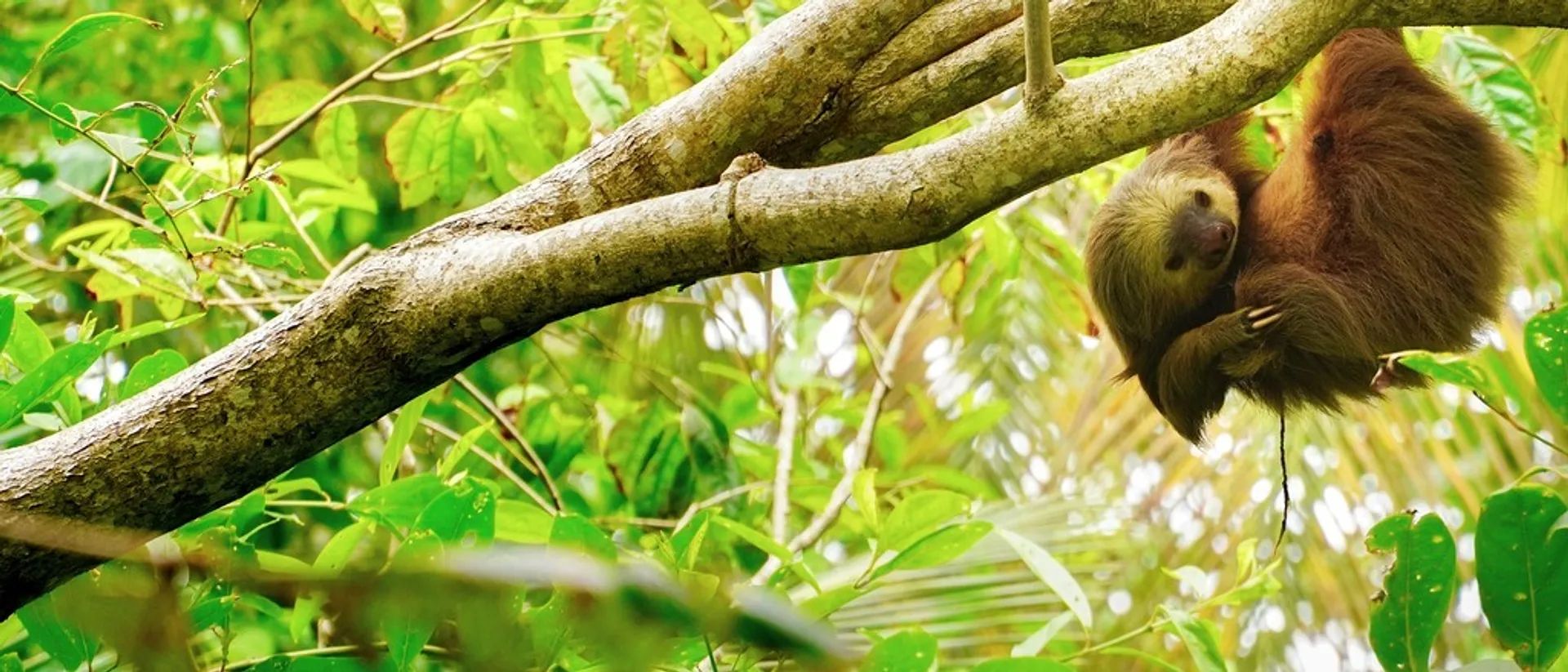 Caribbean islands, Sri Lanka, Costa Rica & more  in £430s-£570s rtn