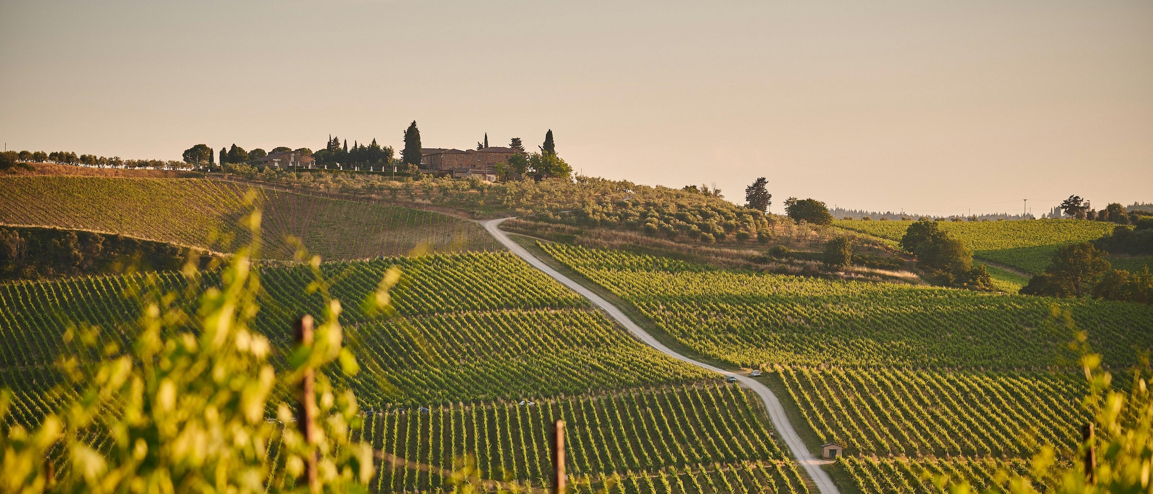 Tuscany 🍇 at $475 round-trip