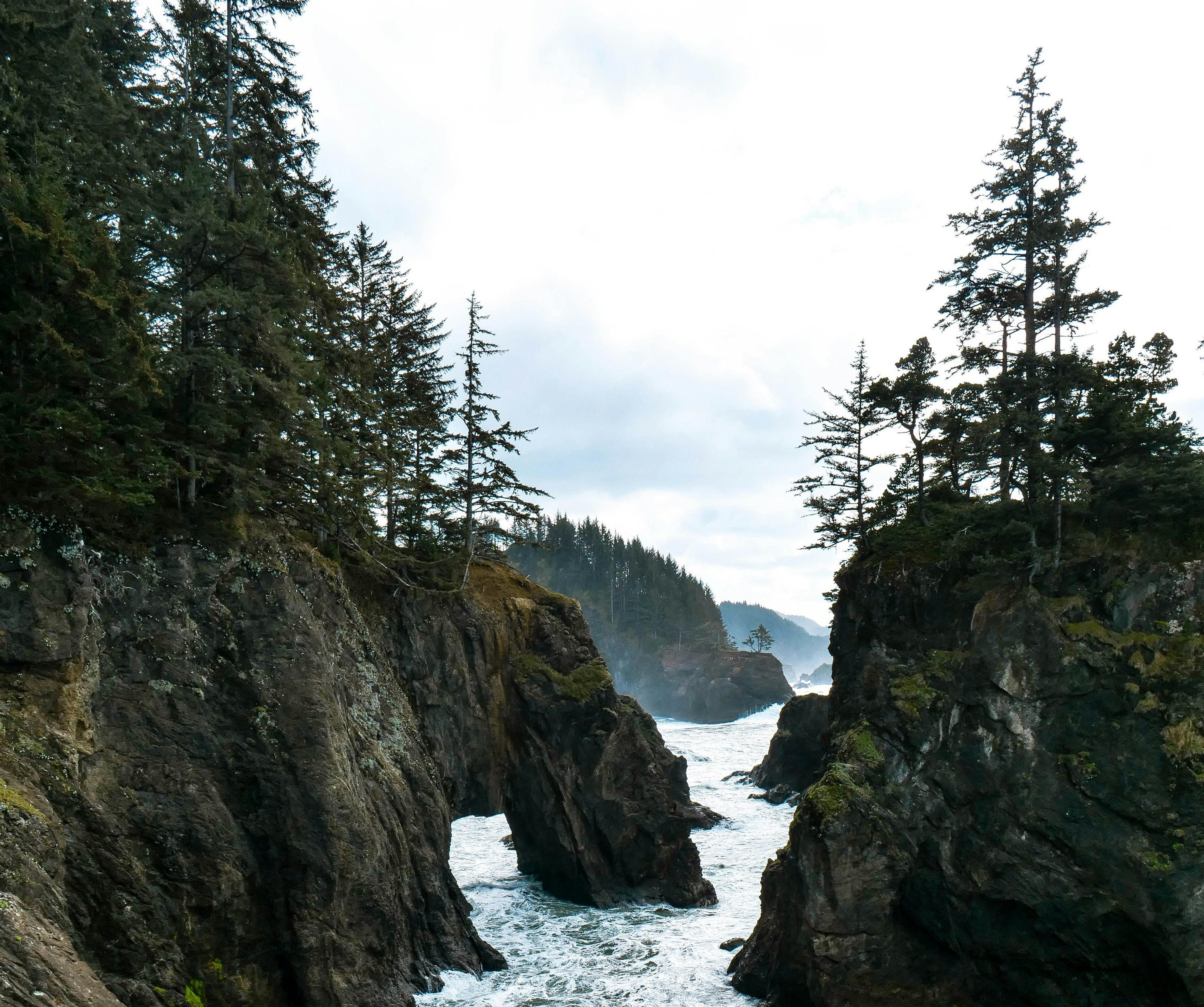 Towering cliffs and dense evergreen trees frame the rugged coastline