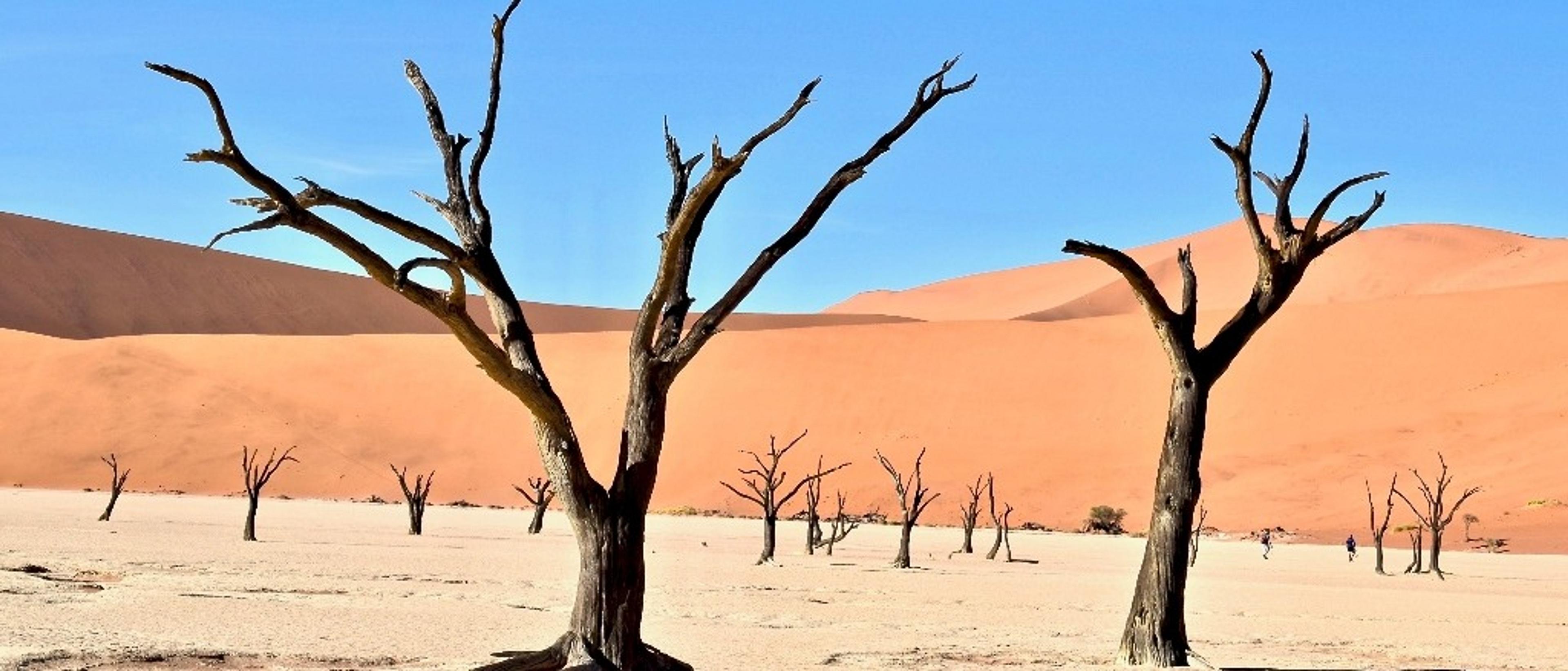 Windhoek, Namibia 🏜️ in €980s-€1070s rtn