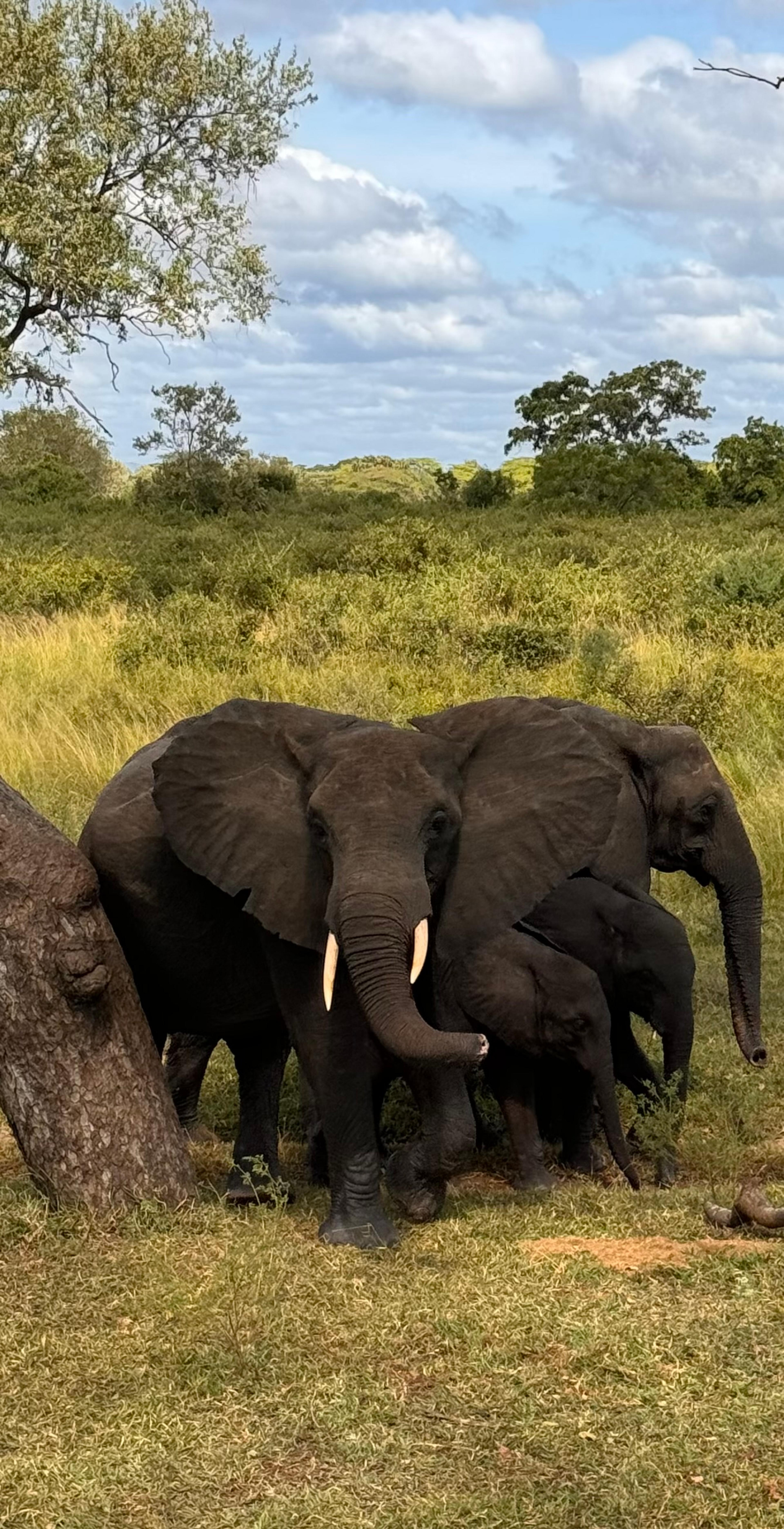 Postcard from Rebecca