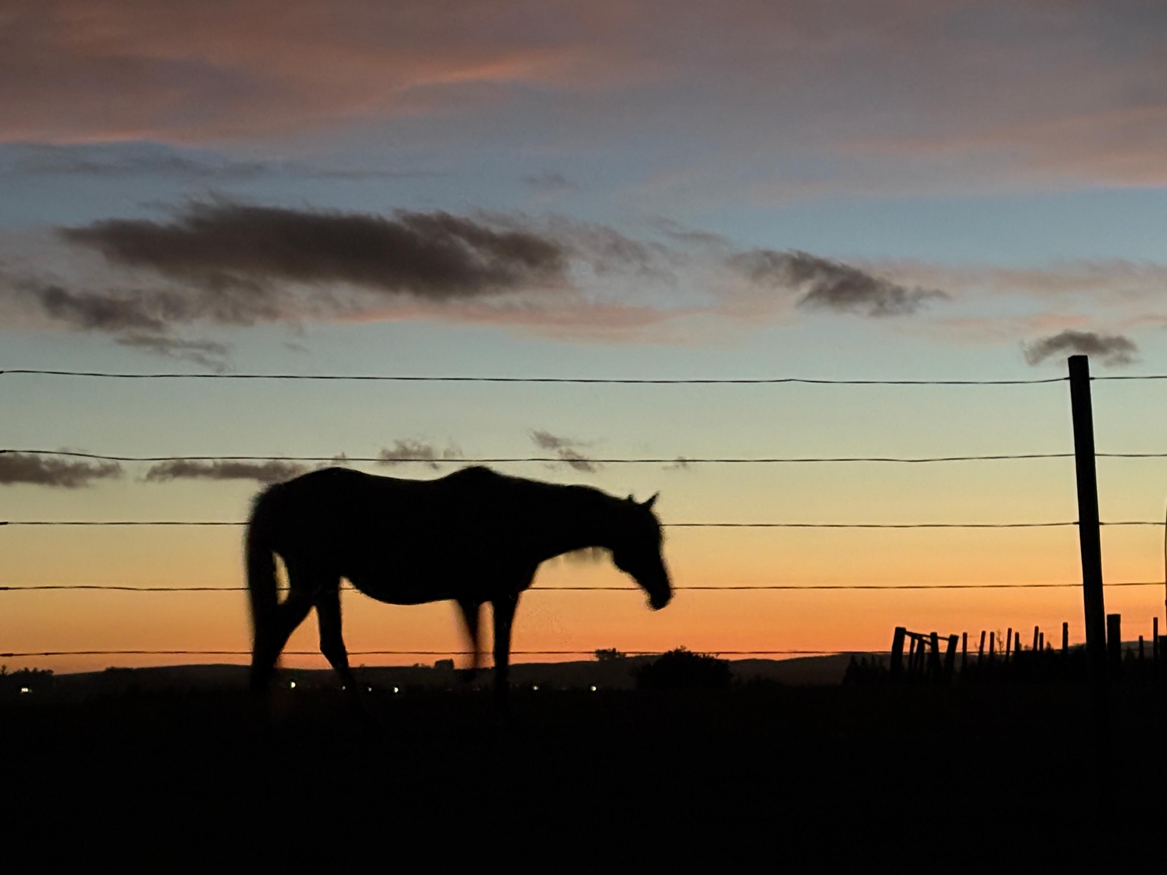 Three weeks of Uruguay's countryside charm