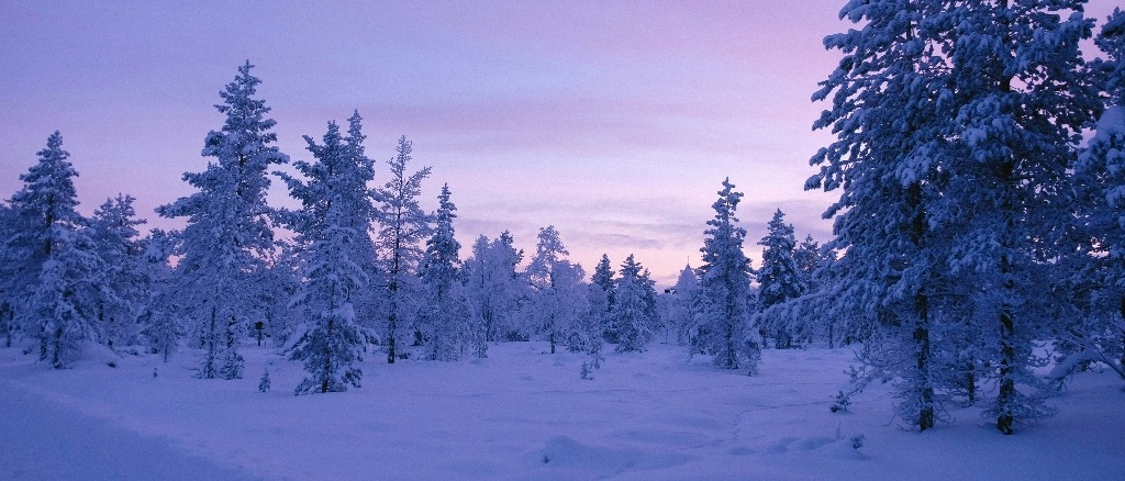 Lapland ❄️ in €140s-€170s rtn 