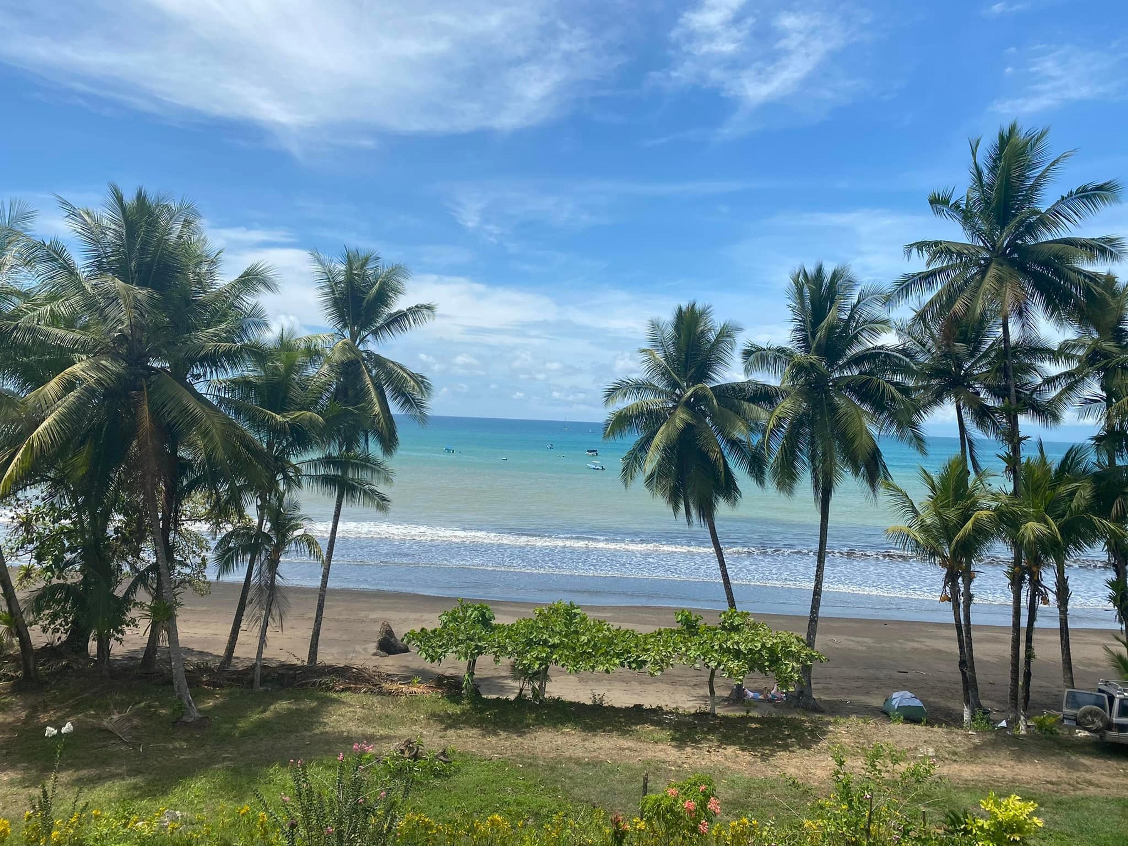Palm trees line the sandy shores of Playa Hermosa in Costa Rica, with vibrant turquoise waters stretching to the horizon.