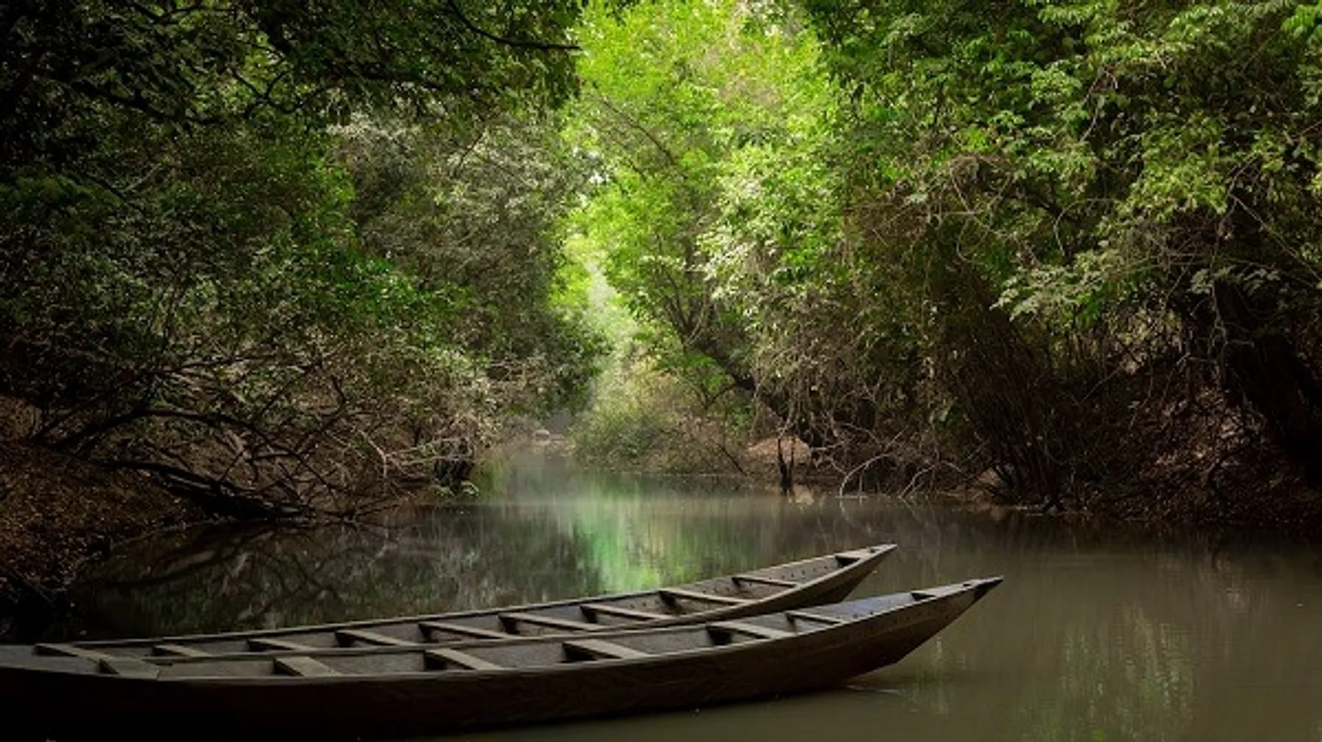 Two wooden boats float on a secluded river, surrounded by trees