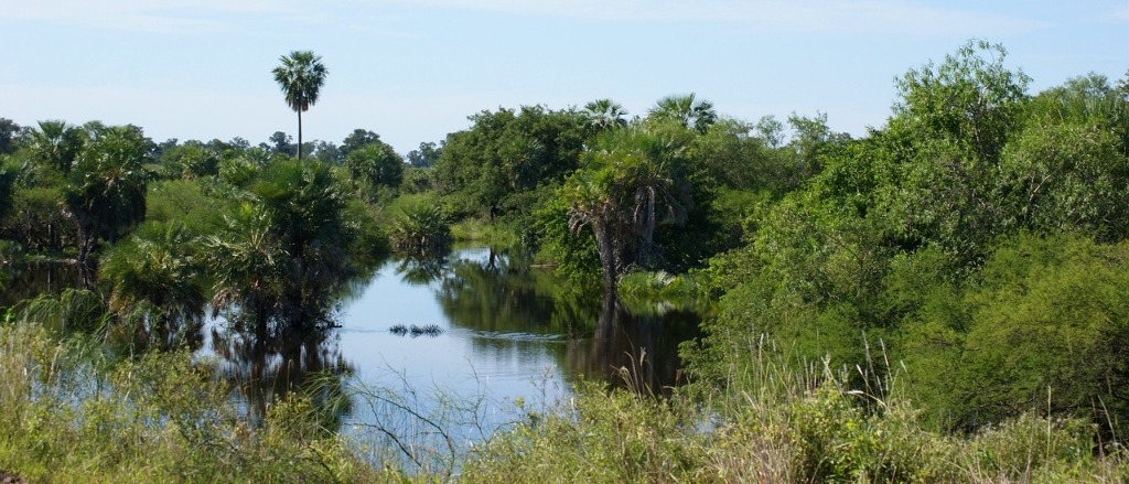 Asunción, Paraguay  in $380s-$570s RT