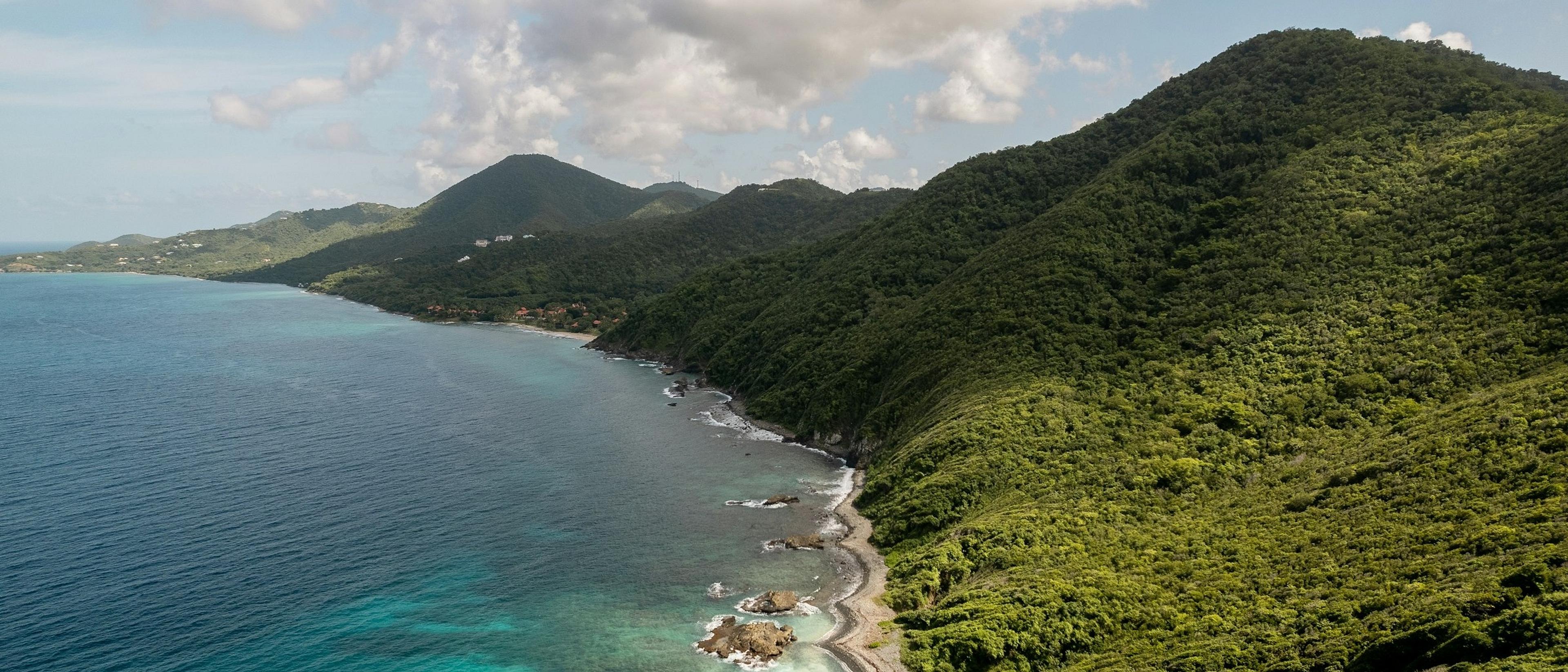 The Caribbean  in $270s-$390s RT
