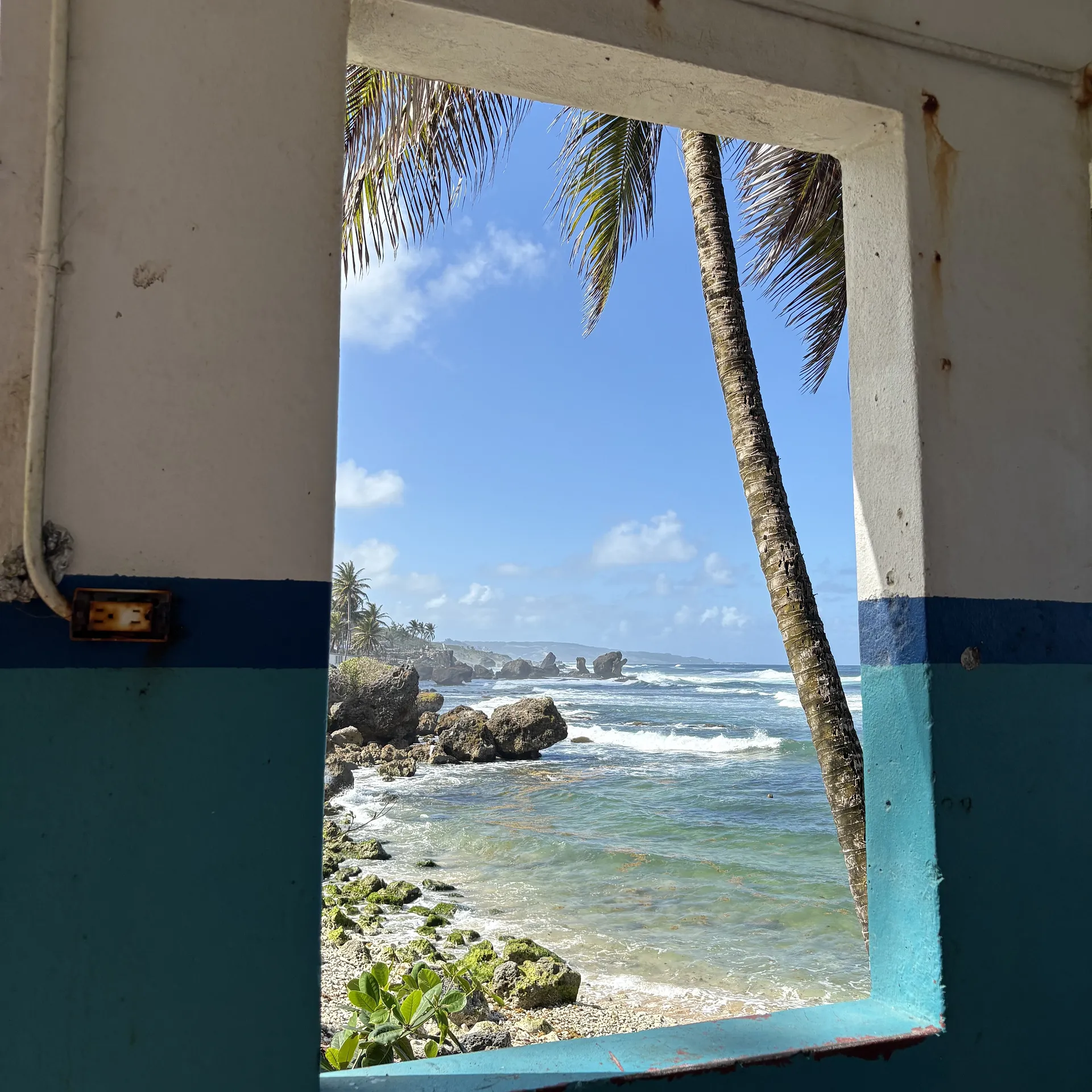 A picturesque view through a window reveals the rugged coastline of Bathsheba Beach in Barbados, framed by palm trees and turquoise waters.